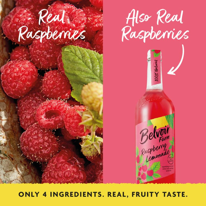 Belvoir Farm - Raspberry Lemonade Sparkling Drink (330ml Can)