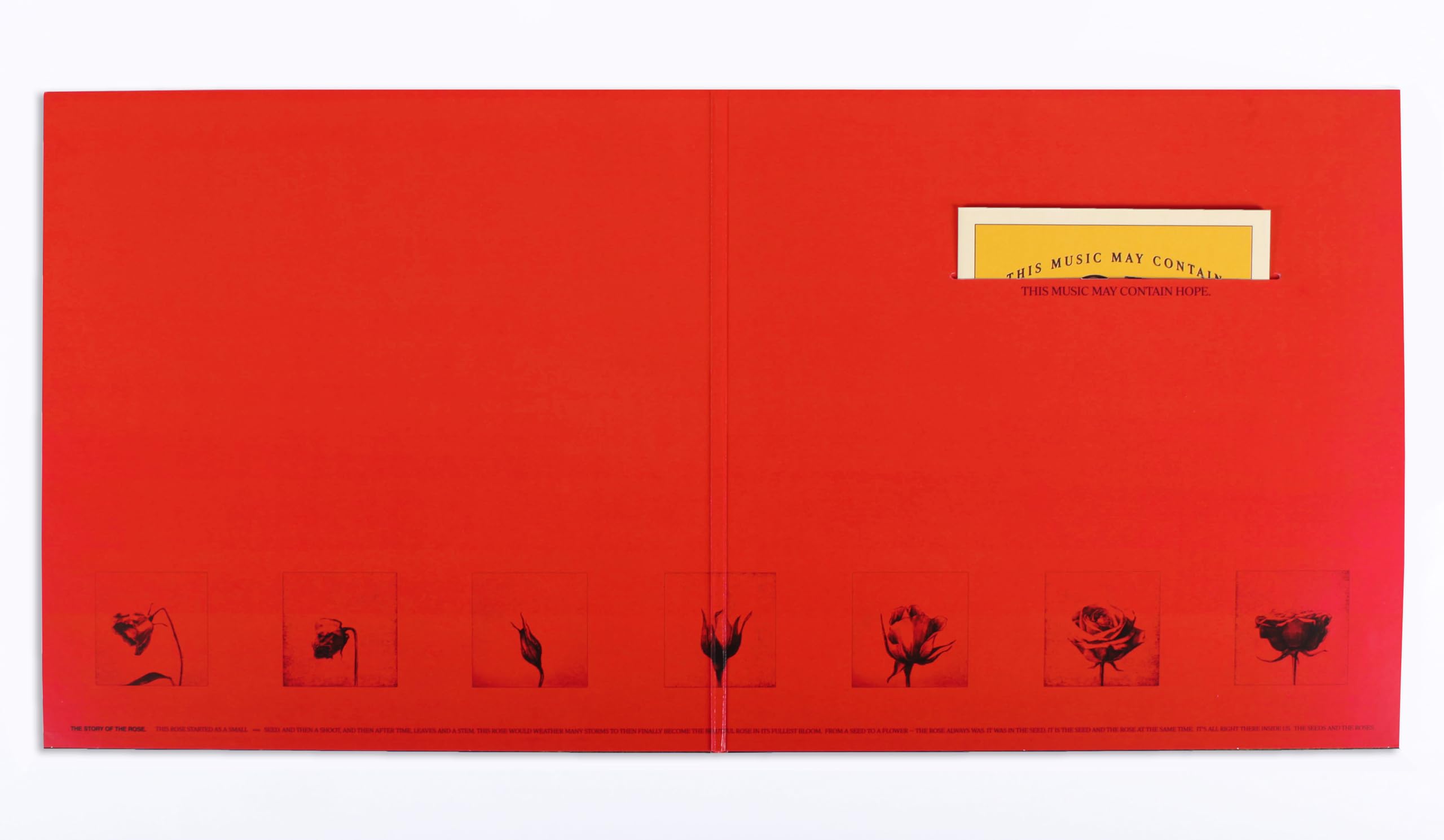RAYE - THIS MUSIC MAY CONTAIN HOPE [Yellow Vinyl Double LP] 5