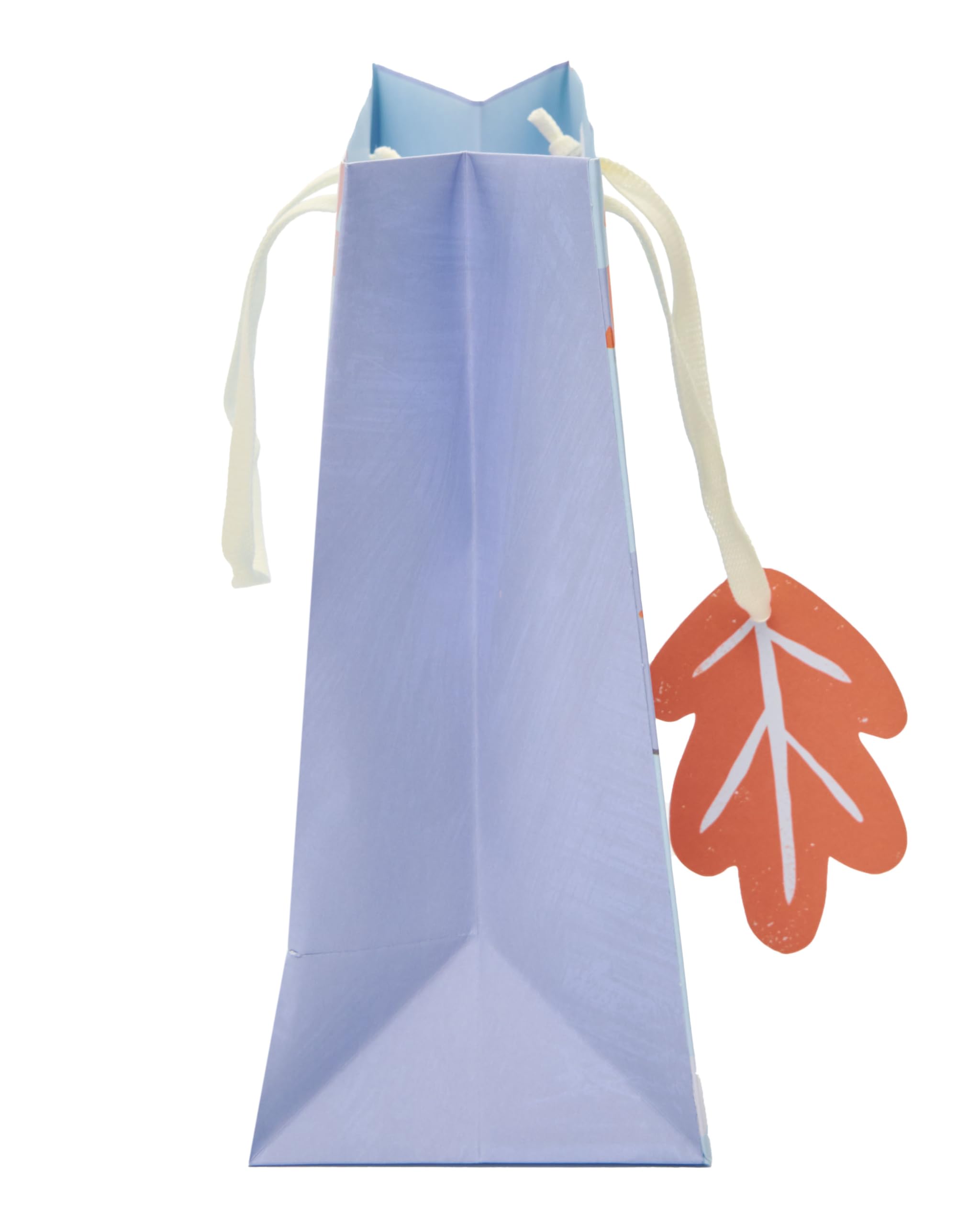 UK Greetings Medium Gift Bag for Baby Boy/New Parents | Animal Design with Foil Details | Blue 4