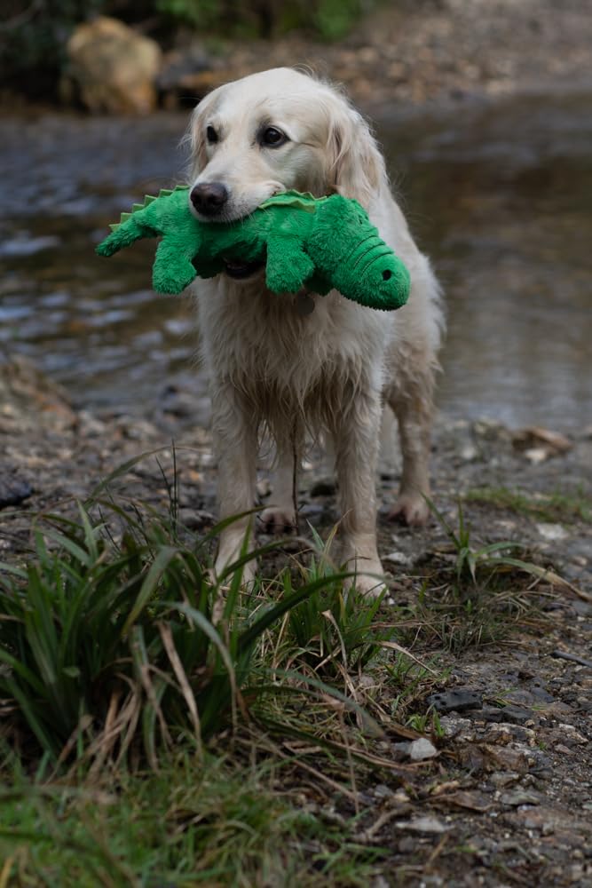 Petface Planet Carlos the Crocodile Eco Friendly Plush Dog Toy for Large Breeds | Recycled Material 4