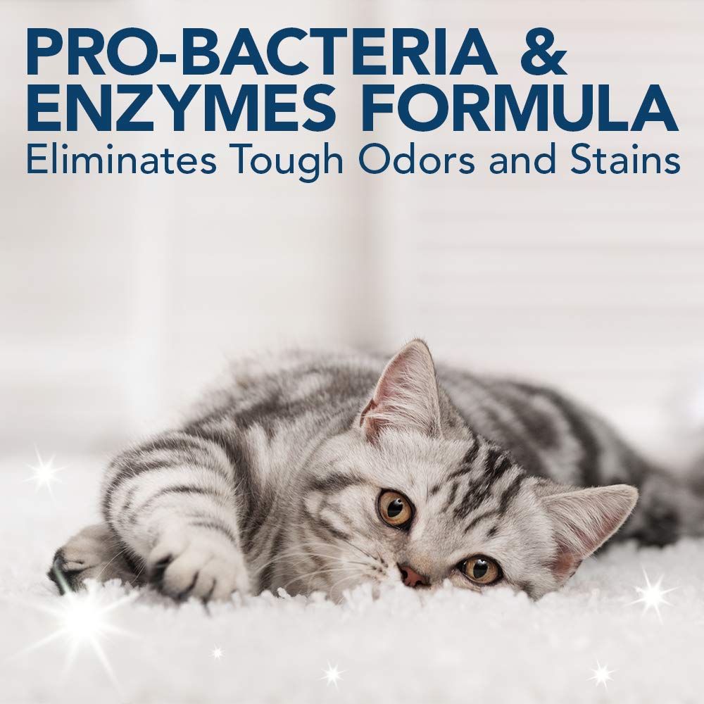 OUT! Super Strength Pet Stain and Odour Remover - 500ml | Natural Pro-Bacteria & Enzyme Formula | Vanilla Scent 3
