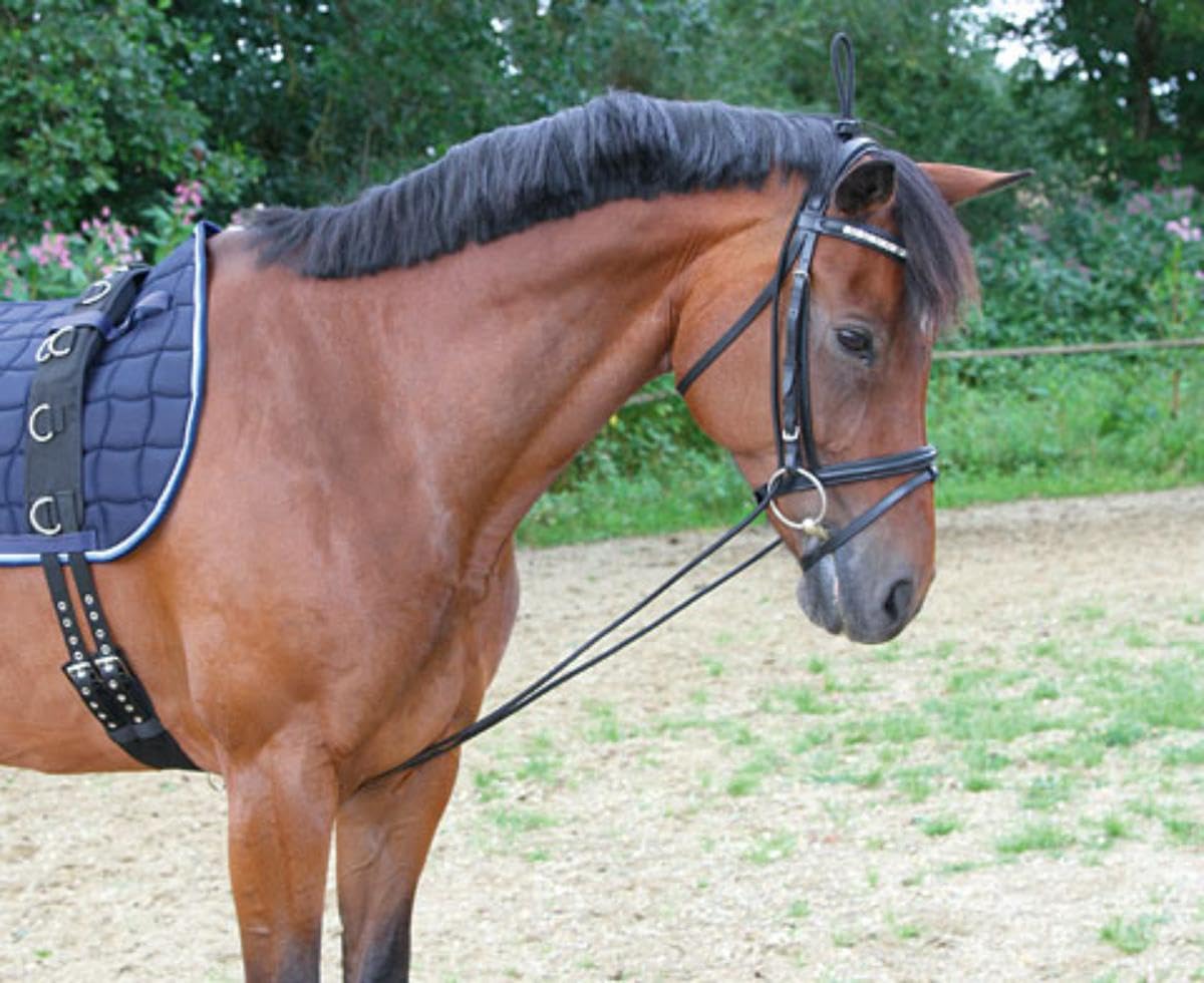 Covalliero Neck Bungie - Horse Training Aid | Black/White | One Size 2