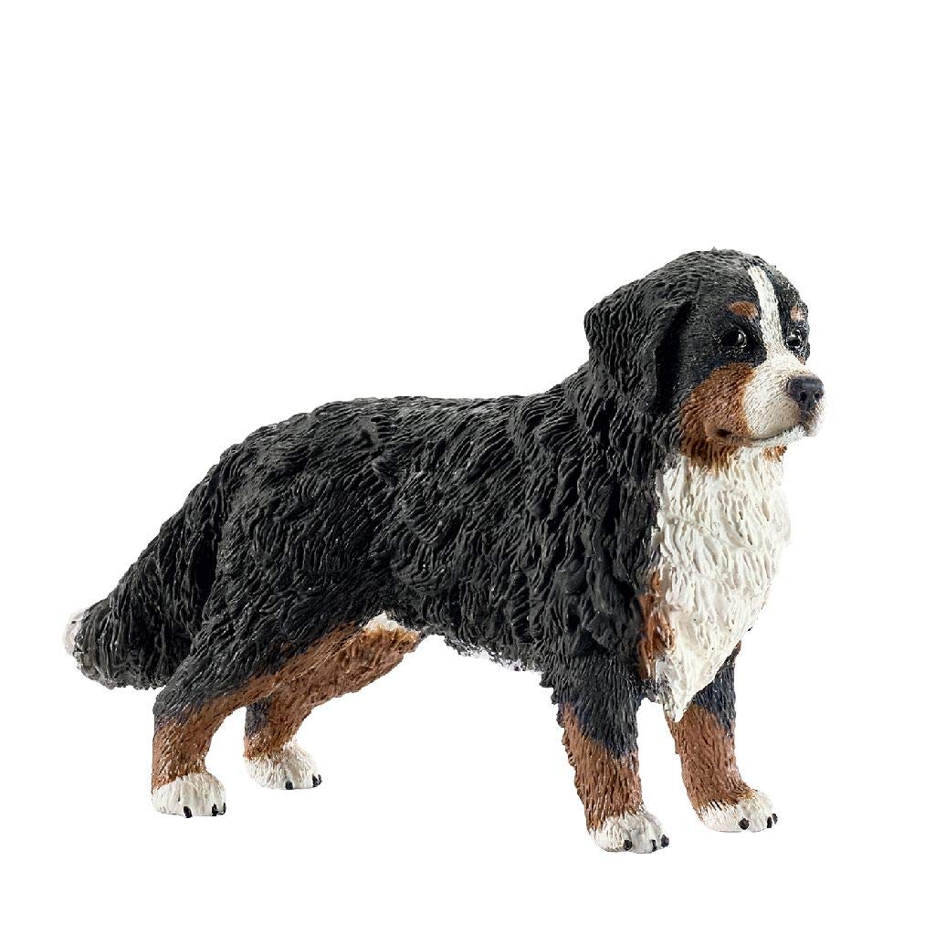 Schleich 16397 Bernese Mountain Dog, Female - Individually Hand Painted Figure for Imaginative Play 3