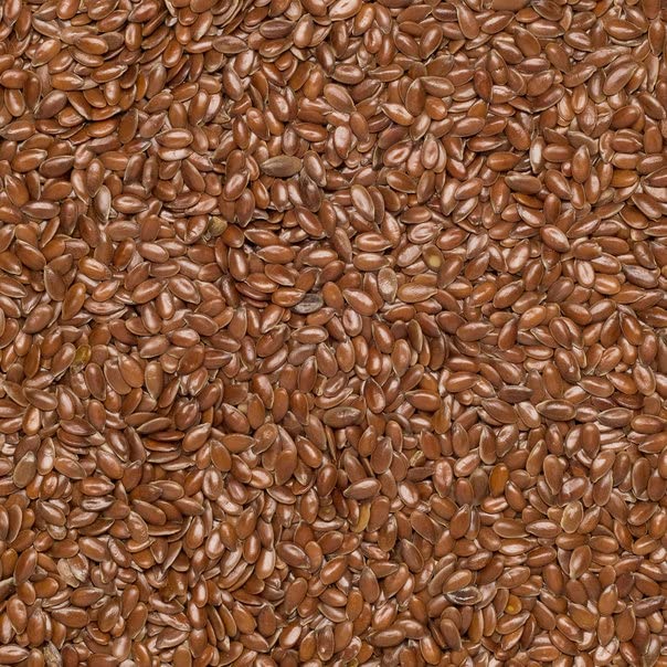Wholefood Earth Organic Brown Linseed/Flaxseed - Raw, GMO Free | 500g 4