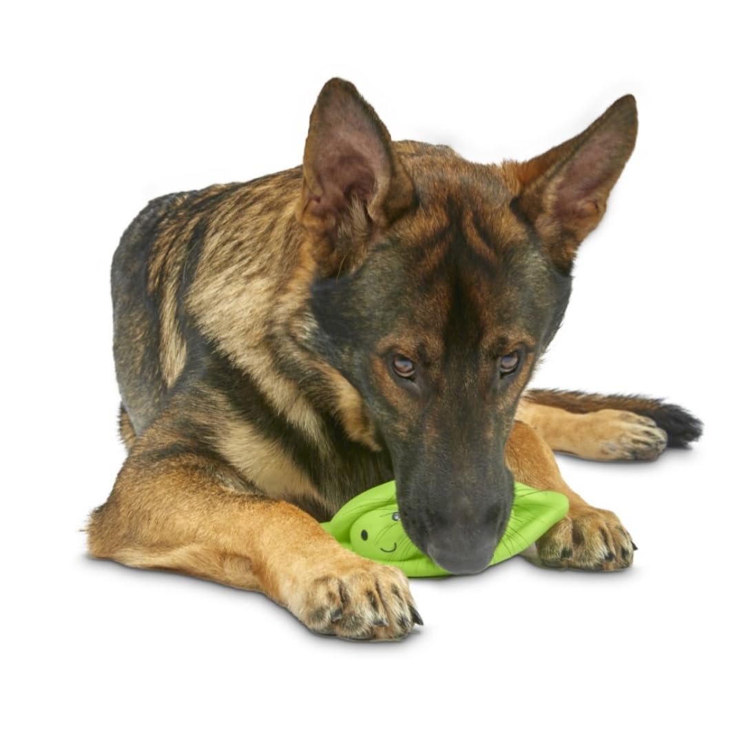 Petface Latex Pea Pod Soft Chew Dog Toy - Large Size | Built-in Squeaker | Natural Rubber 2