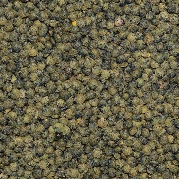Wholefood Earth Organic Dark Green French Style Lentils - 500g | High Protein | GMO Free 4
