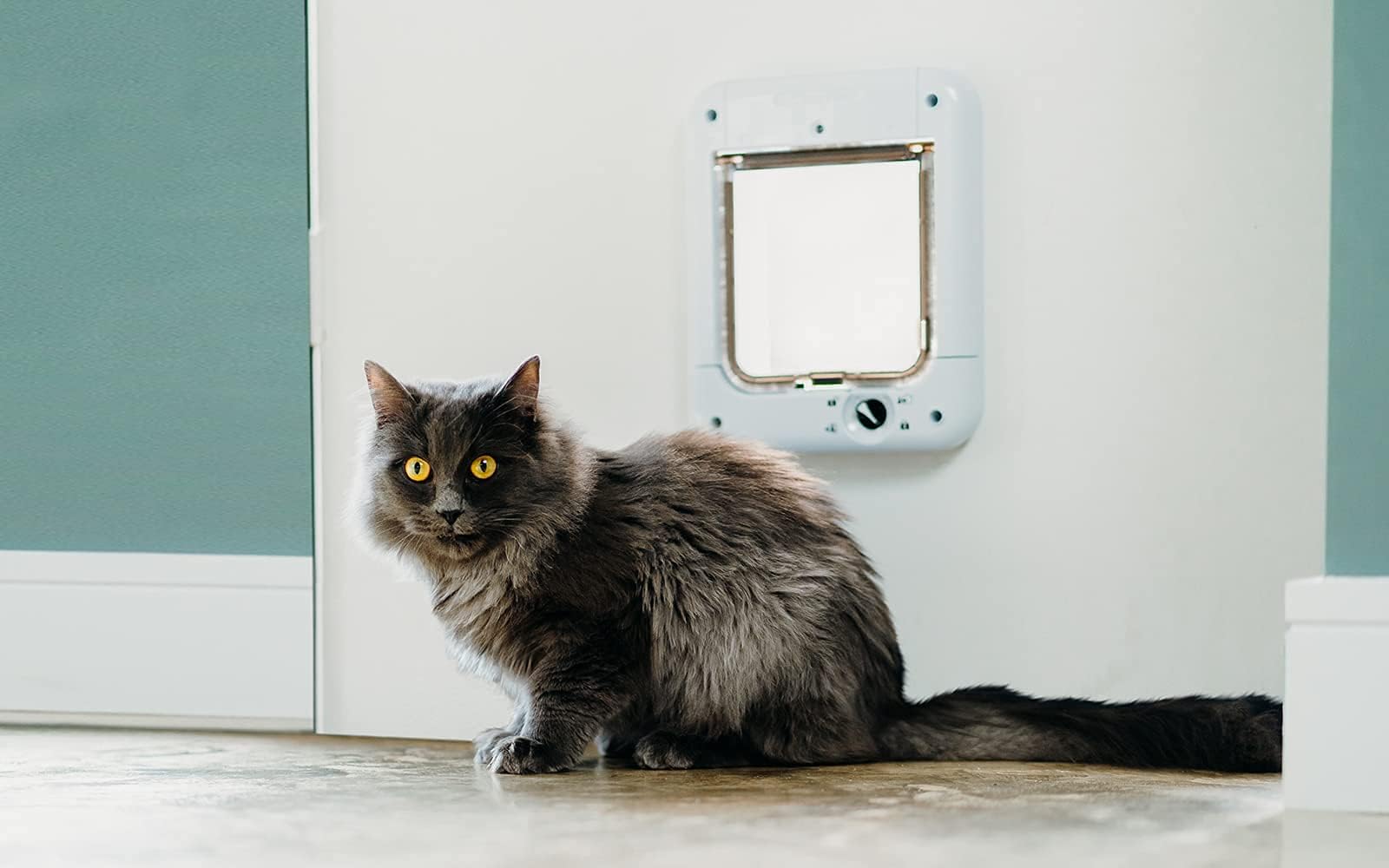 Cat Mate Microchip Activated Cat Flap - White | Up to 30 Cats | 85mm Wall Liner 9