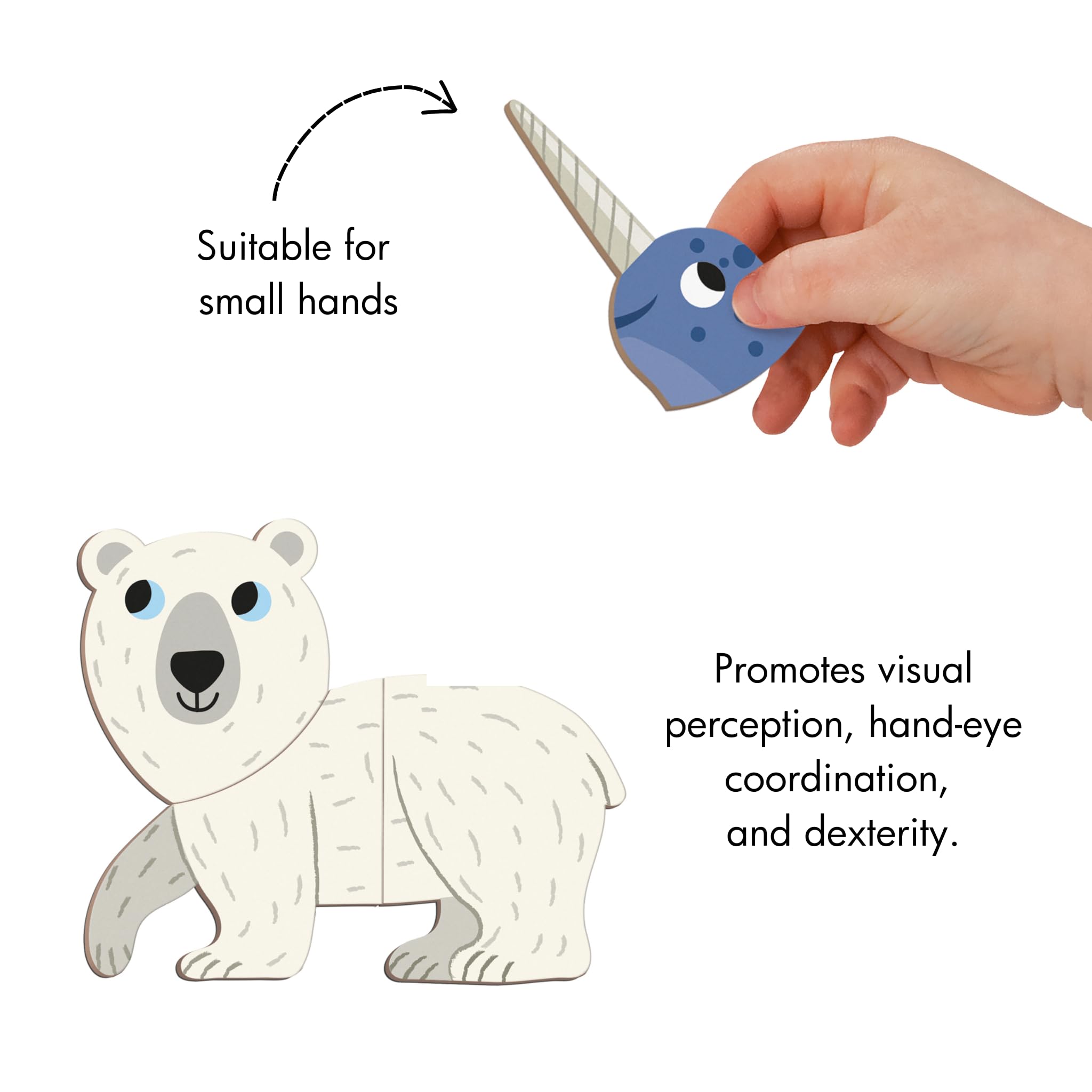 Janod Magnéti'Book Arctic Animals - 30 Magnets, 10 Models | Ages 3-8 4