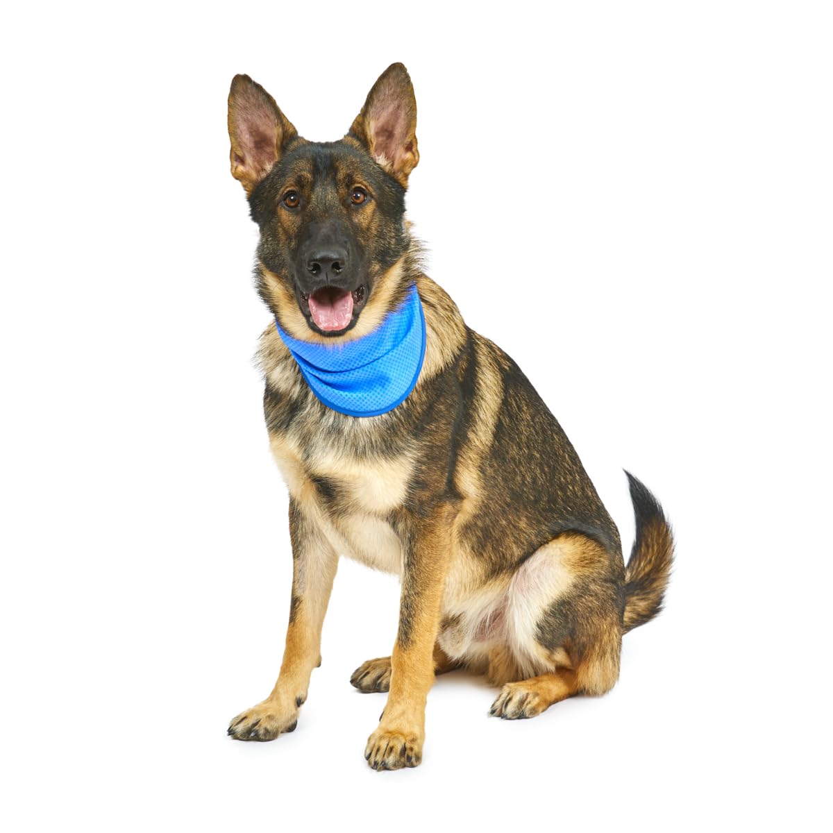 Petface Cooling Dog Bandana - Water-Activated Reusable | Large (38-52 cm Neck) 3