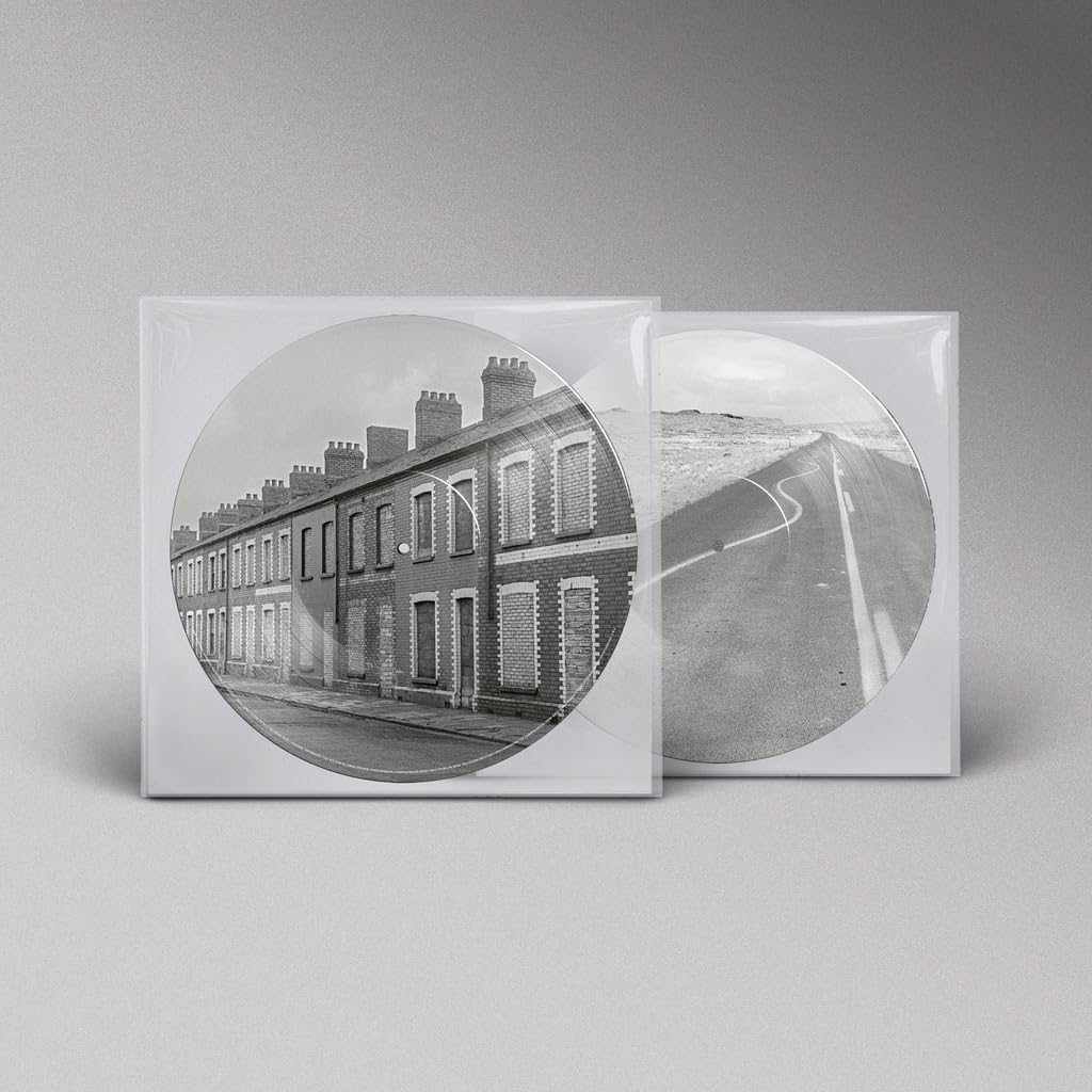 Manic Street Preachers - Critical Thinking [Amazon Exclusive Picture Disc Vinyl]