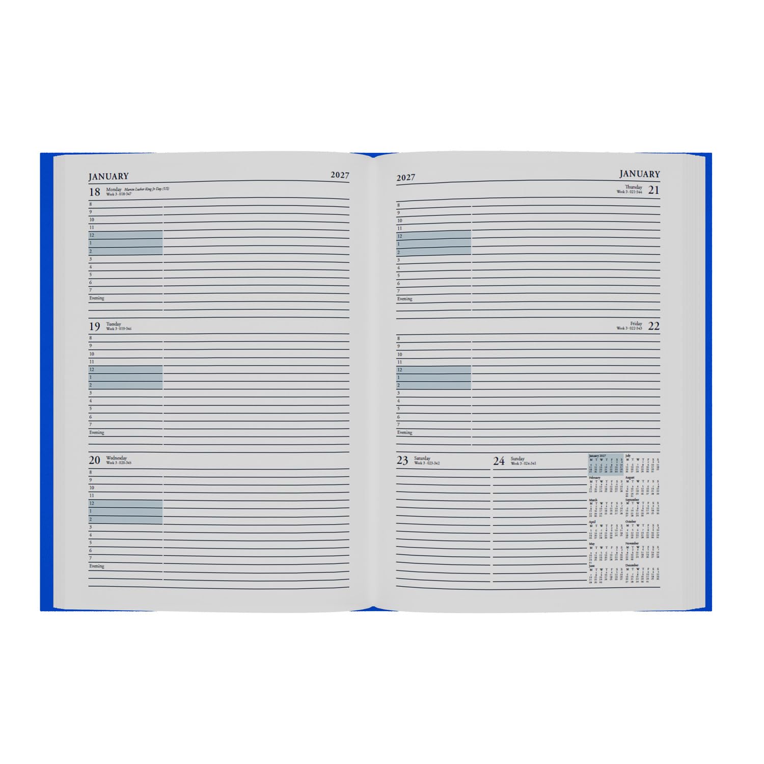 Collins 2026-2027 Academic Year Appointment Book - A4 Week-to-View Organizer | Hourly Slots 8am-7pm