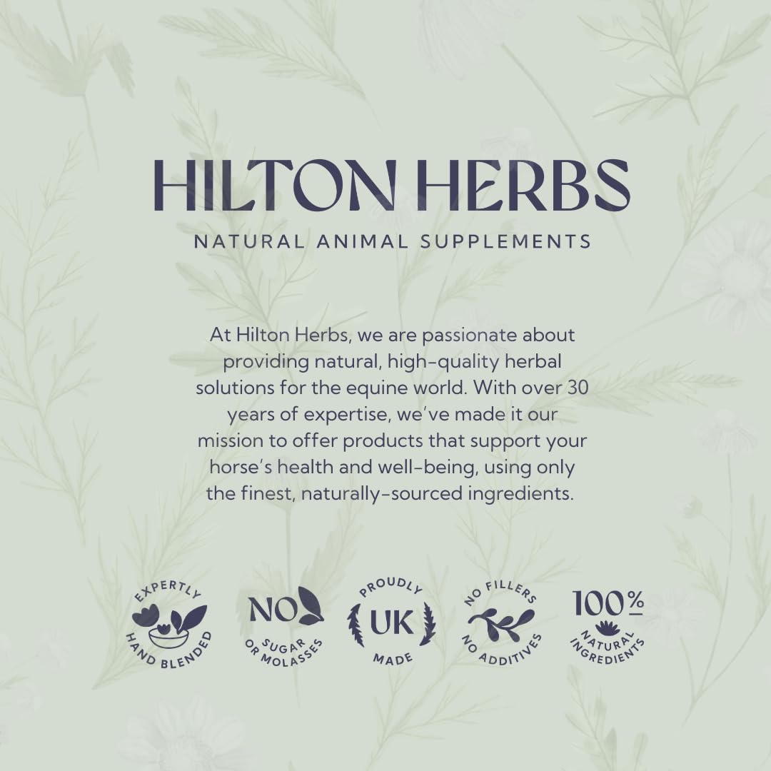 Hilton Herbs Cleavers & Marigold Natural Equine Supplement for Lymphatic Support | 750g 6