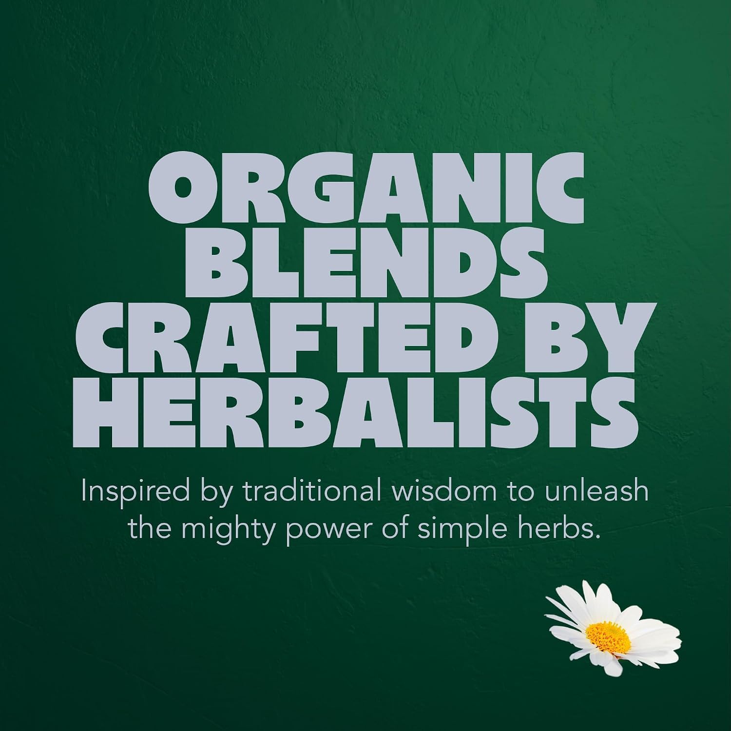 Pukka Herbs Organic Herbal Tea Variety Pack - Caffeine Free | 20 Tea Bags | Plant-Based 6