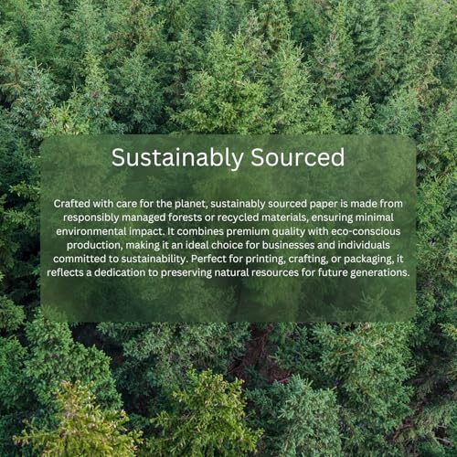 Hawksbill - A3 Black Sketchbook Hardcover Spiral 40 Sheets 150GSM Acid-Free Paper 26