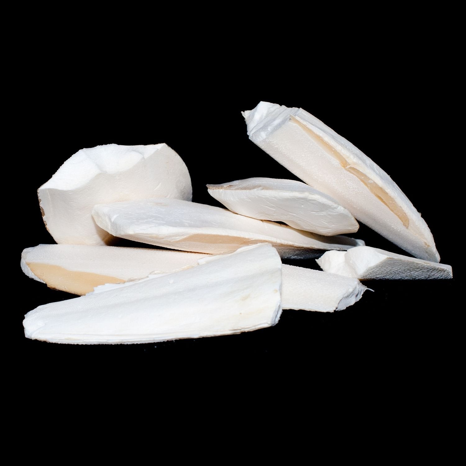 Pet Ting Broken Cuttlefish Pieces - Calcium Source for Birds & Reptiles | 100g 1