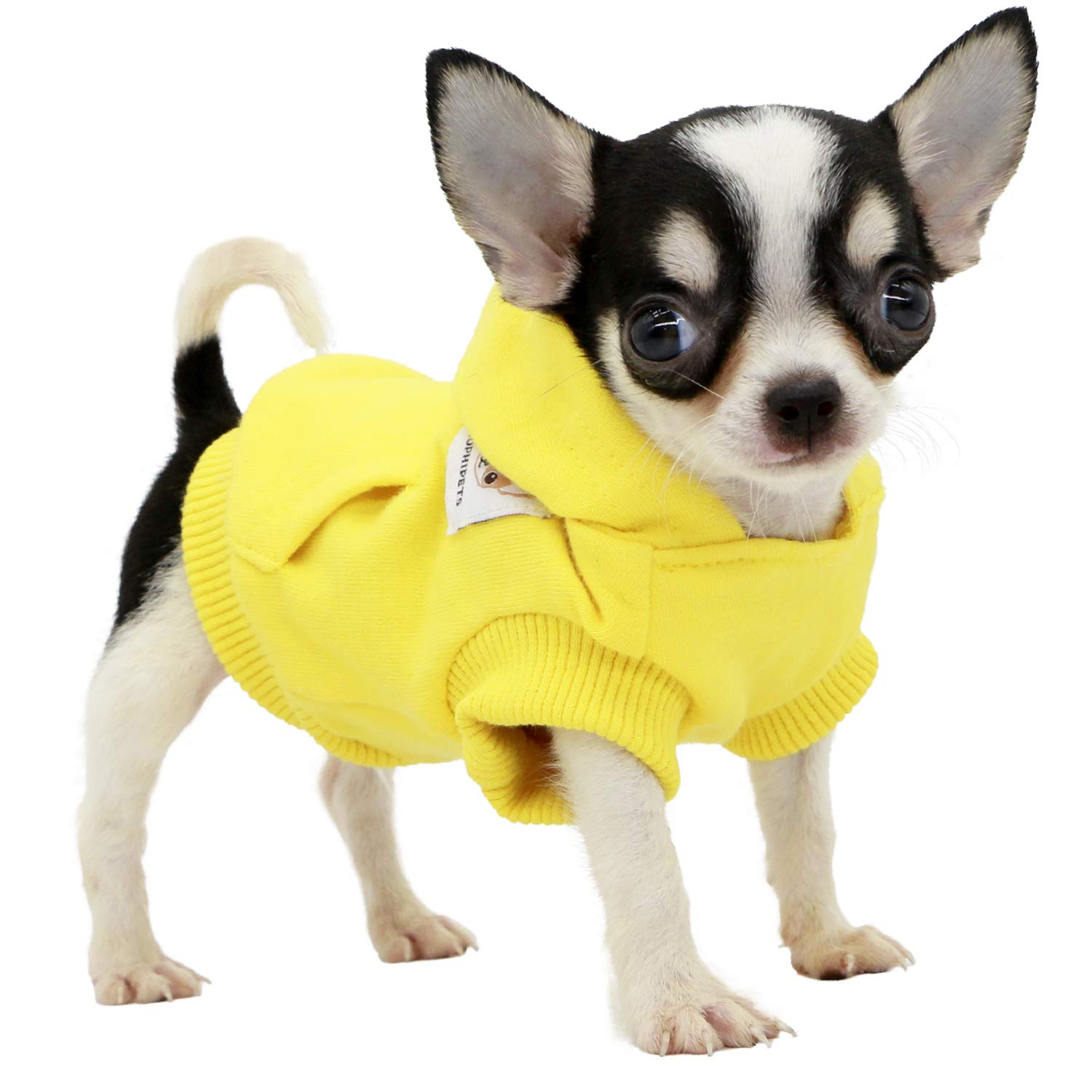 LOPHIPETS Dog Hoodie - Yellow, X-Small | Breathable Cotton Blend
