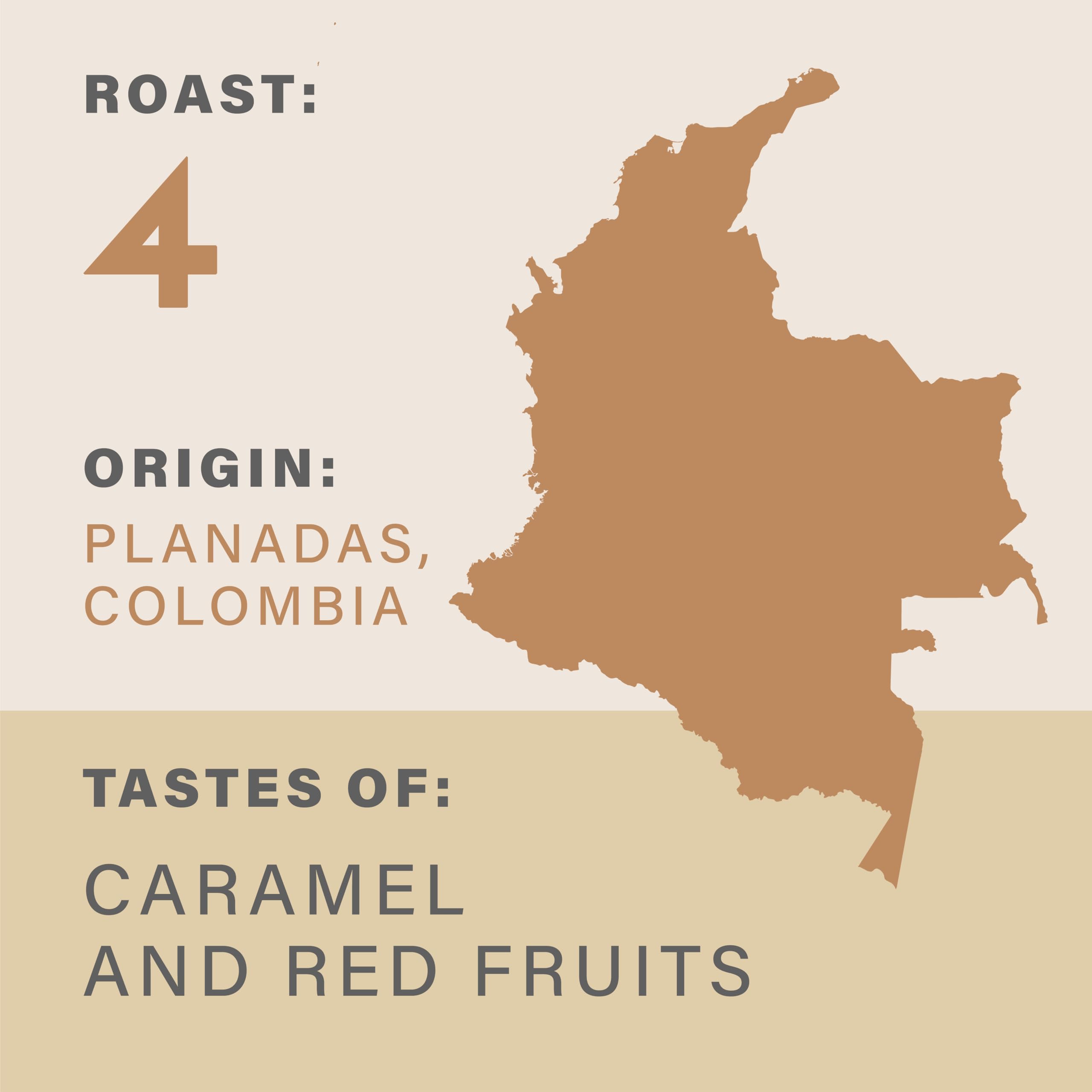 Grumpy Mule Colombia Planadas Organic Whole Coffee Beans - Medium-Dark Roast | Caramel & Red Fruit 2