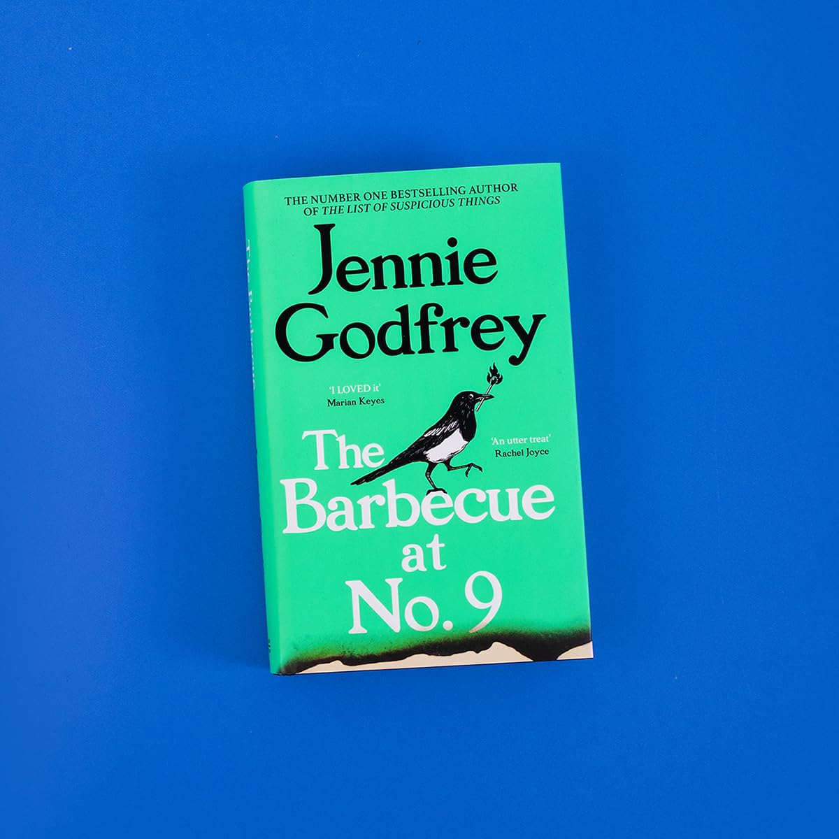 Jennie Godfrey - The Barbecue at No.9 | Contemporary Fiction Hardcover