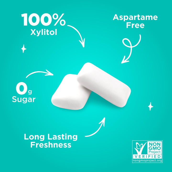 PUR - Natural Wintergreen Sugar-Free Chewing Gum, Sweetened with Xylitol, Vegan & Gluten-Free, 55 Pieces