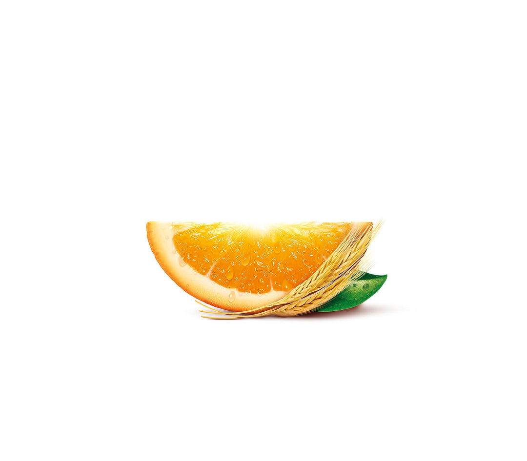 Robinsons Fruit & Barley Orange Squash, 1L