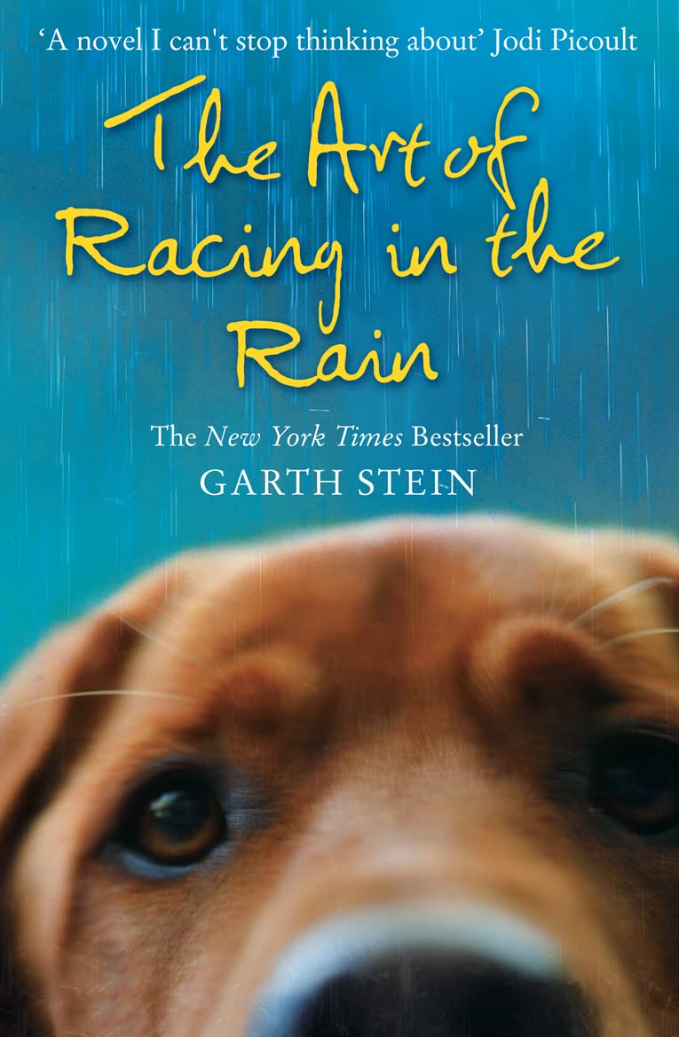 The Art of Racing in the Rain by Garth Stein - Automotive Humour Novel
