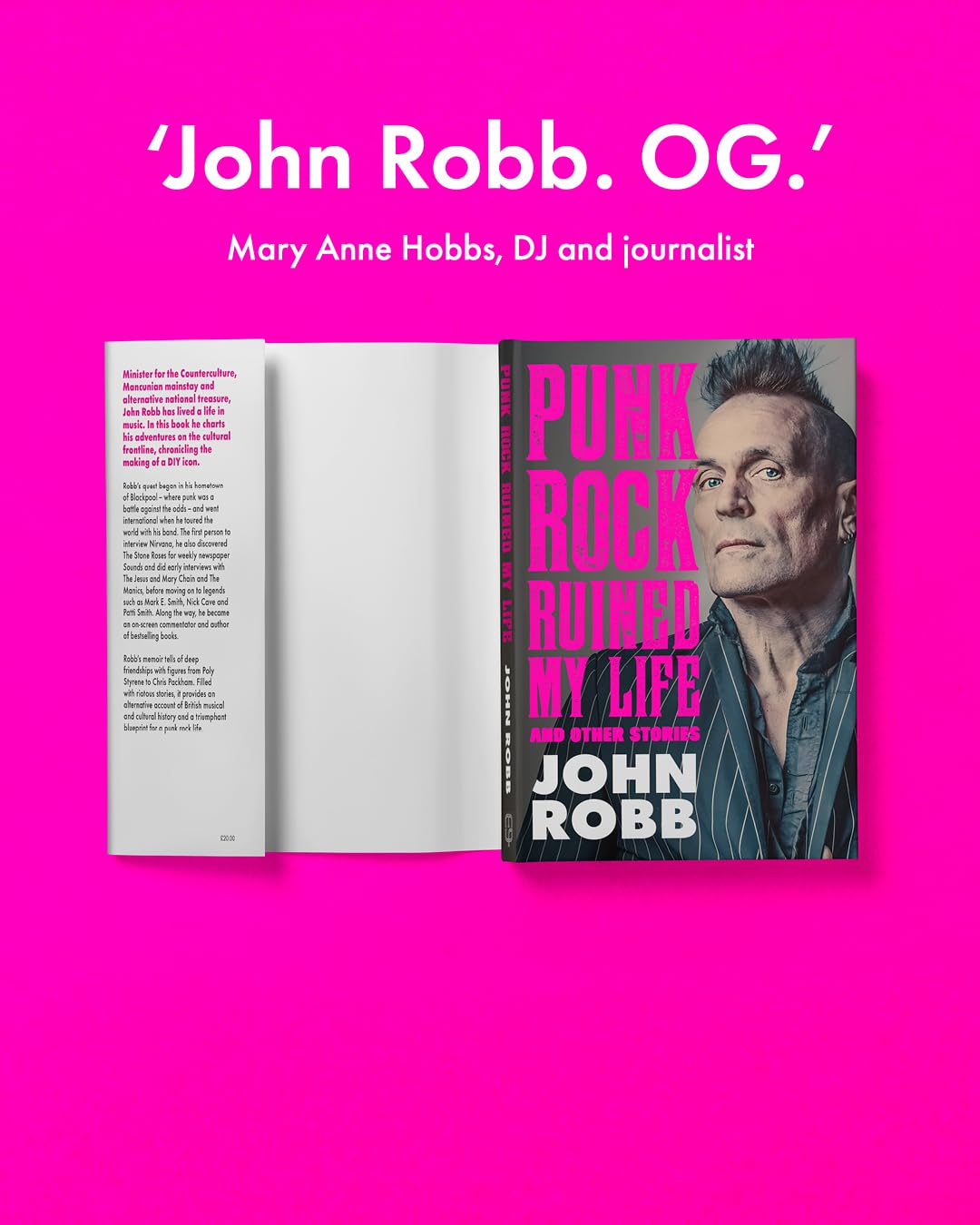 John Robb - Punk Rock Ruined My Life: And Other Stories [Hardcover] 3
