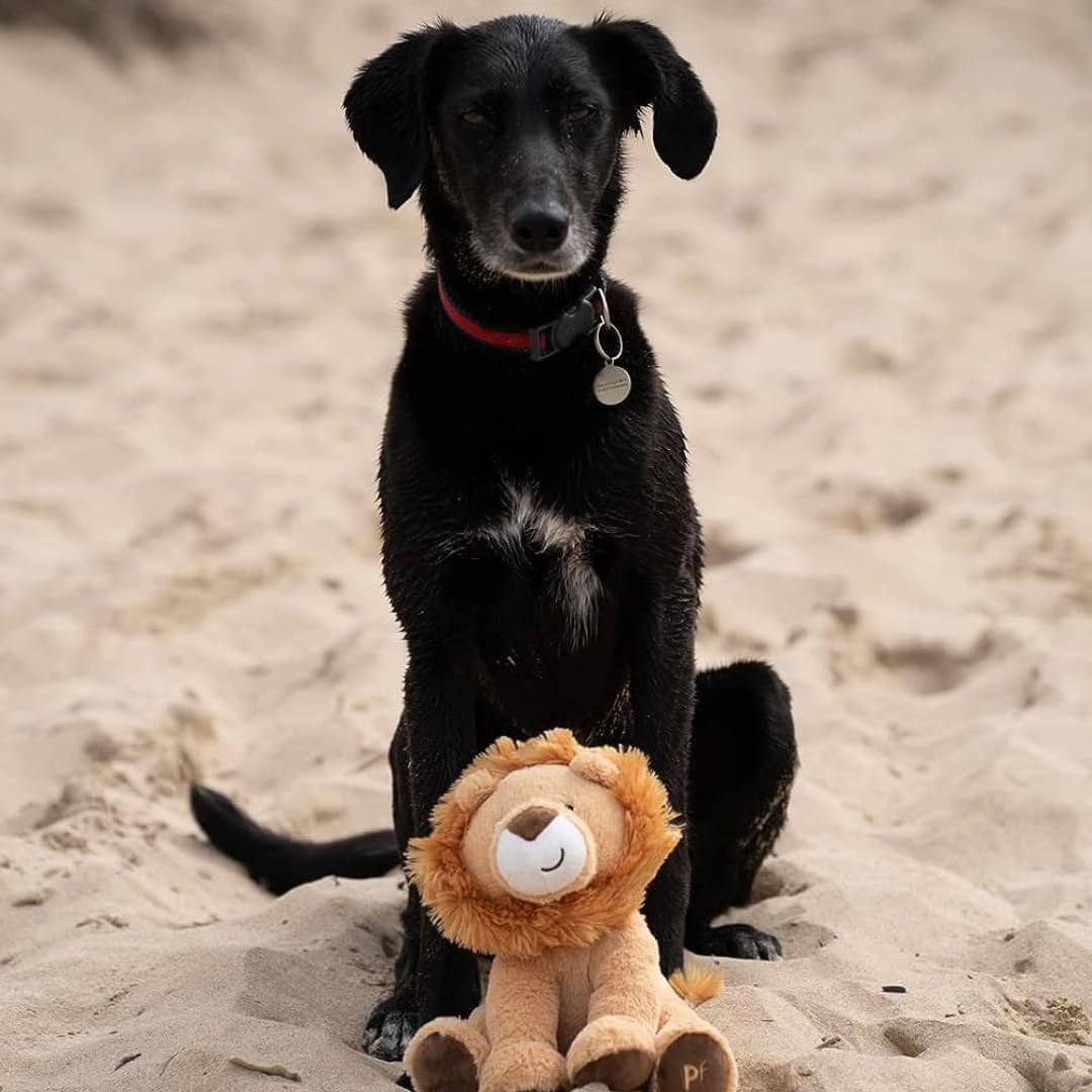 Petface Planet Luis The Lion Plush Dog Toy - Eco-Friendly, Built-in Squeaker | 110g 6