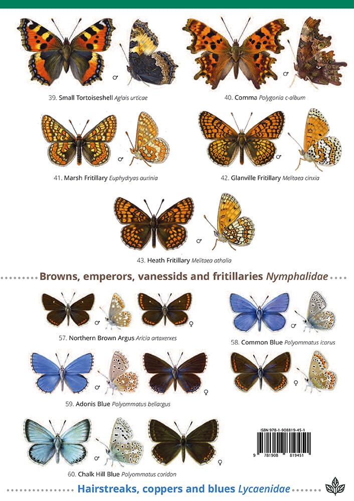 Field Studies Council Guide to the Butterflies of Britain and Ireland | Paperback Field Guide 3