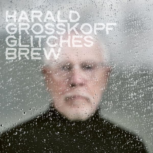 Harald Grosskopf - Glitches Brew [audioCD]