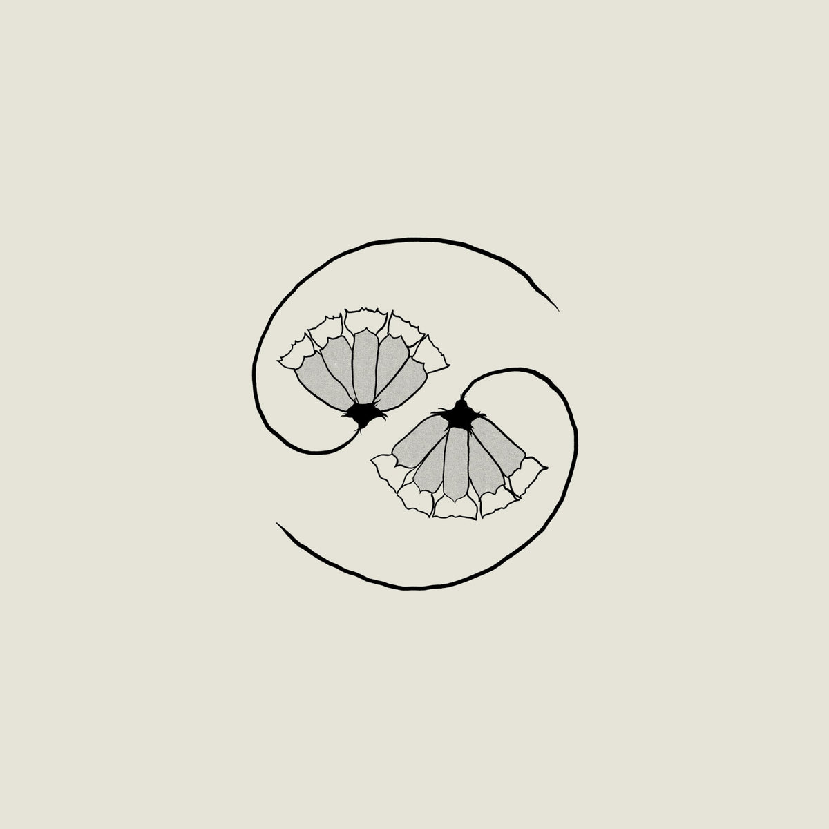 Godspeed You! Black Emperor - G_d's Pee at State's End! [CD]