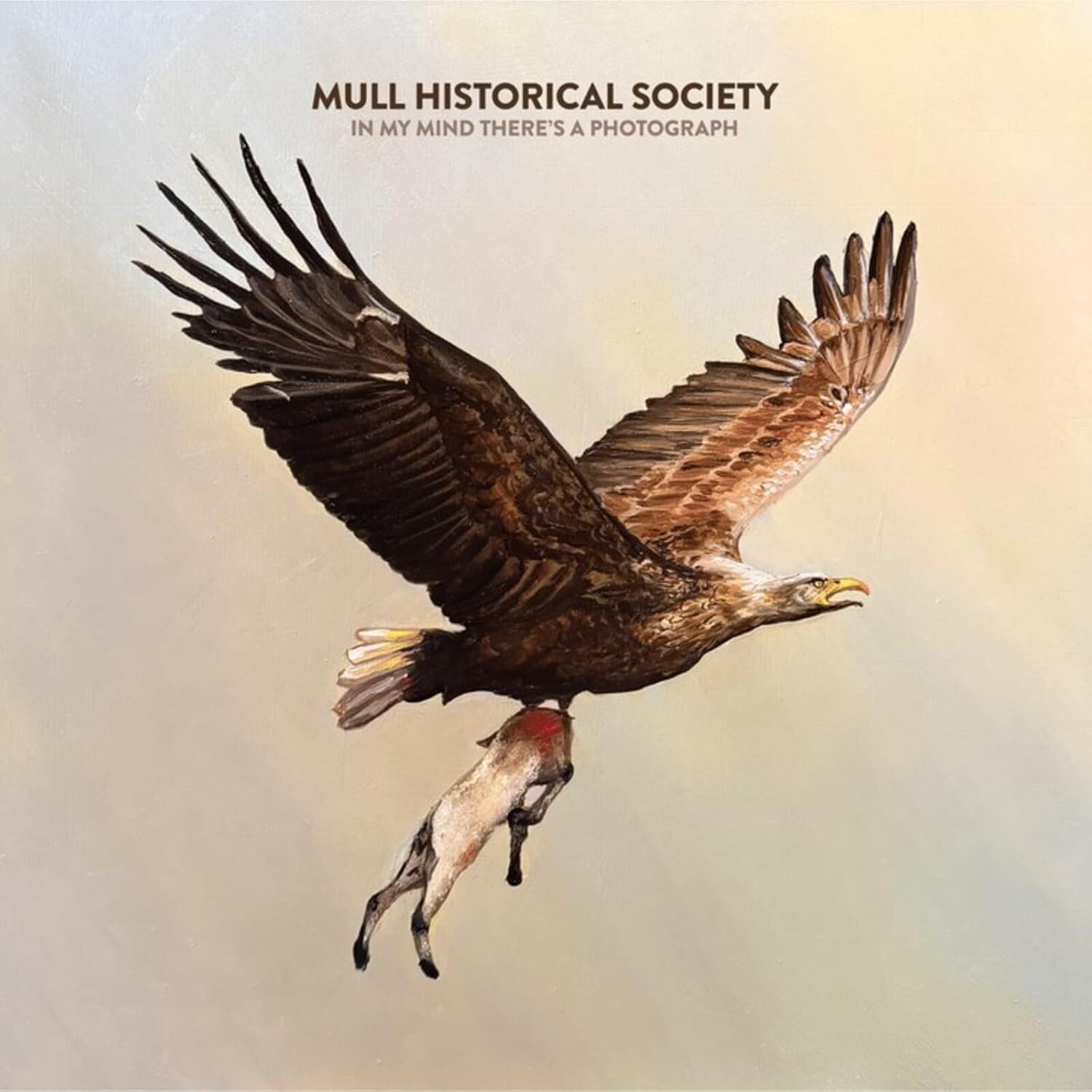 Mull Historical Society - In My Mind There's A Photograph [Audio CD]