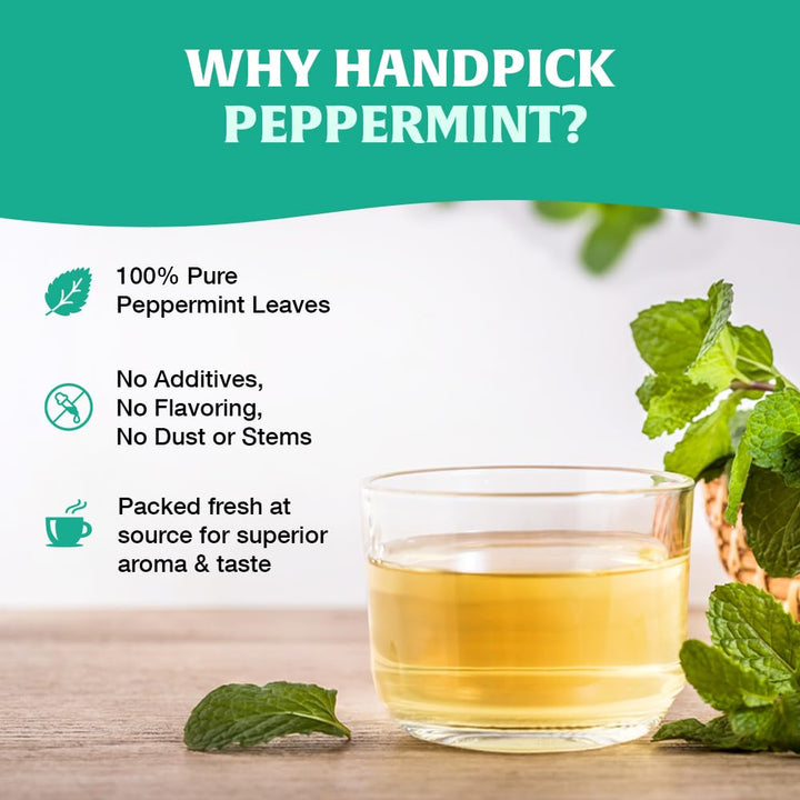 HANDPICK Peppermint Tea Bags (100 Count) Non-GMO, 100% Pure Herbal Tea - Minty & Refreshing