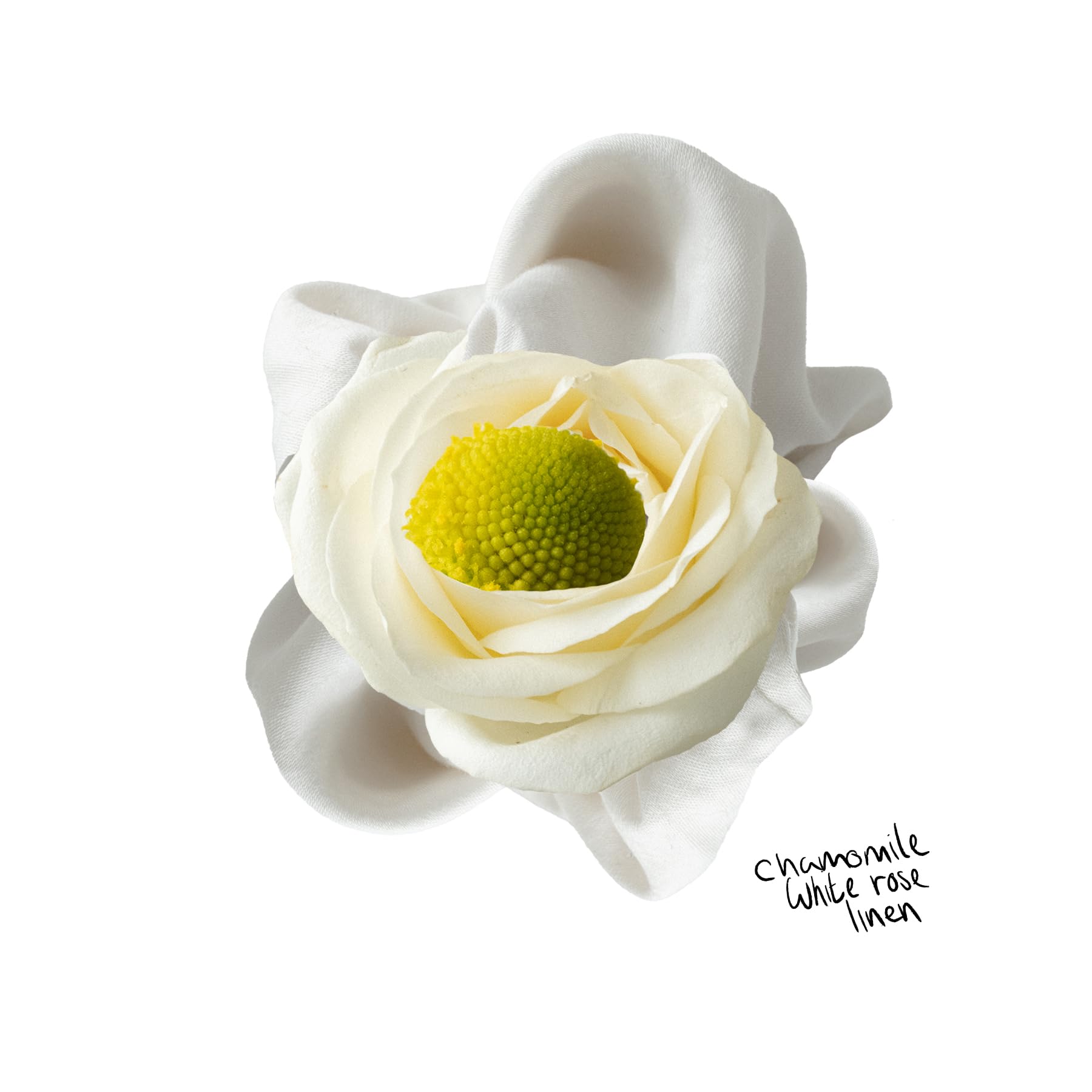 The Lab Co. - Non-Bio Concentrated Laundry Detergent | 1L, 40 Loads 3