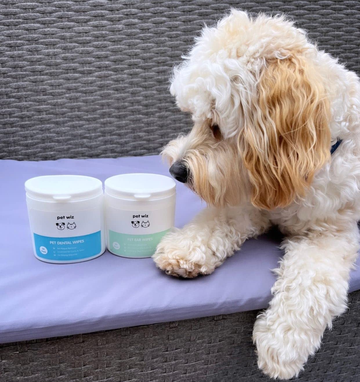 pet wiz Dental Finger Wipes - Removes Plaque & Tartar, Promotes Gum Health | Pack of 50 4