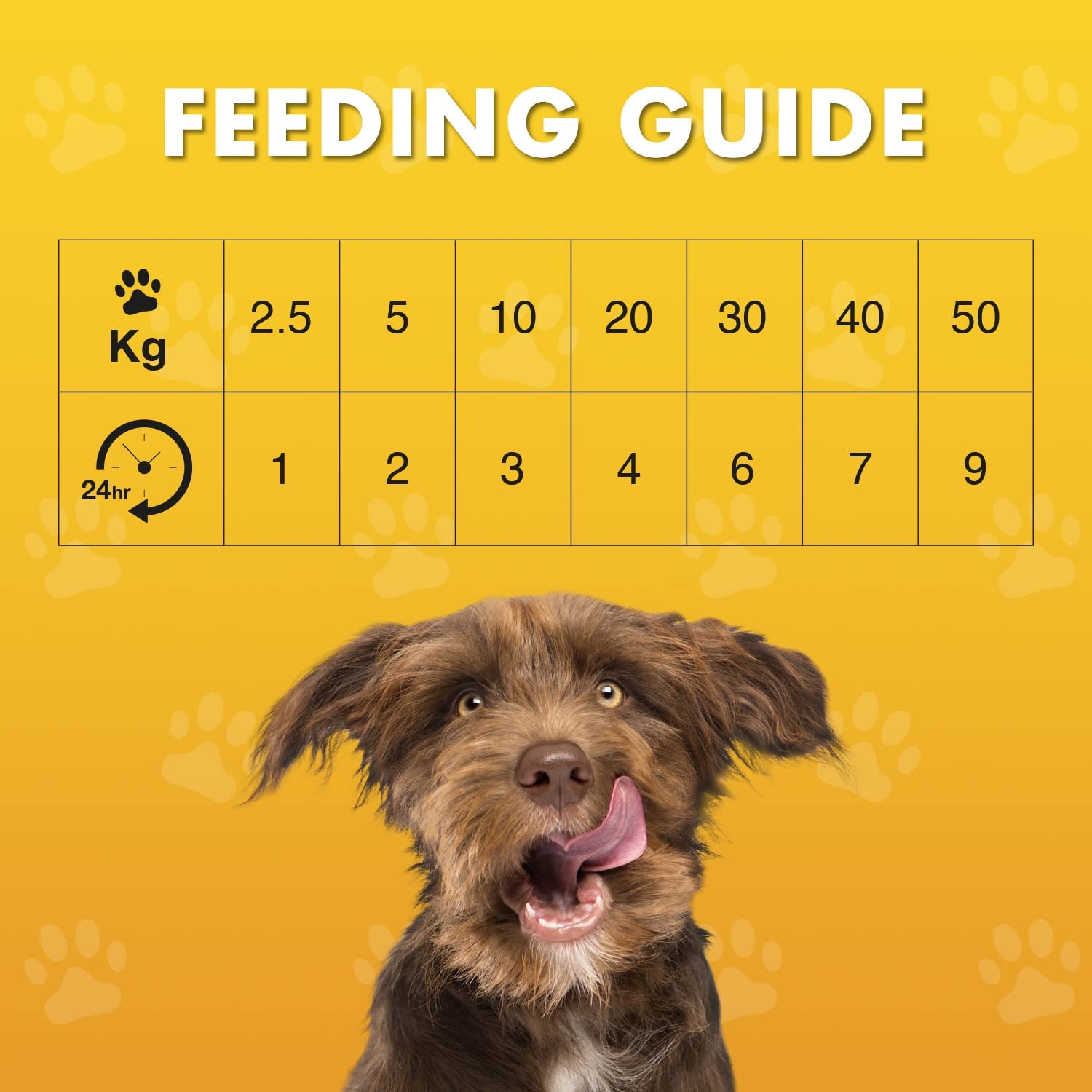 Pet Munchies Fillet Dog Treat (100g) Flavour: Chicken Breast