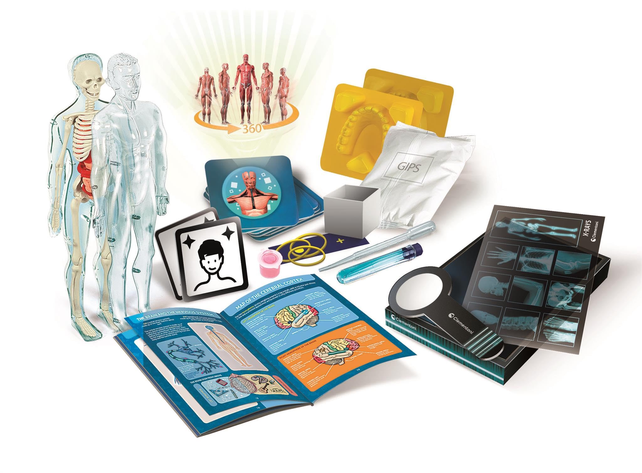 Clementoni Super Anatomy Augmented Reality Science Kit - Build Skeleton Model | Ages 8+ 4