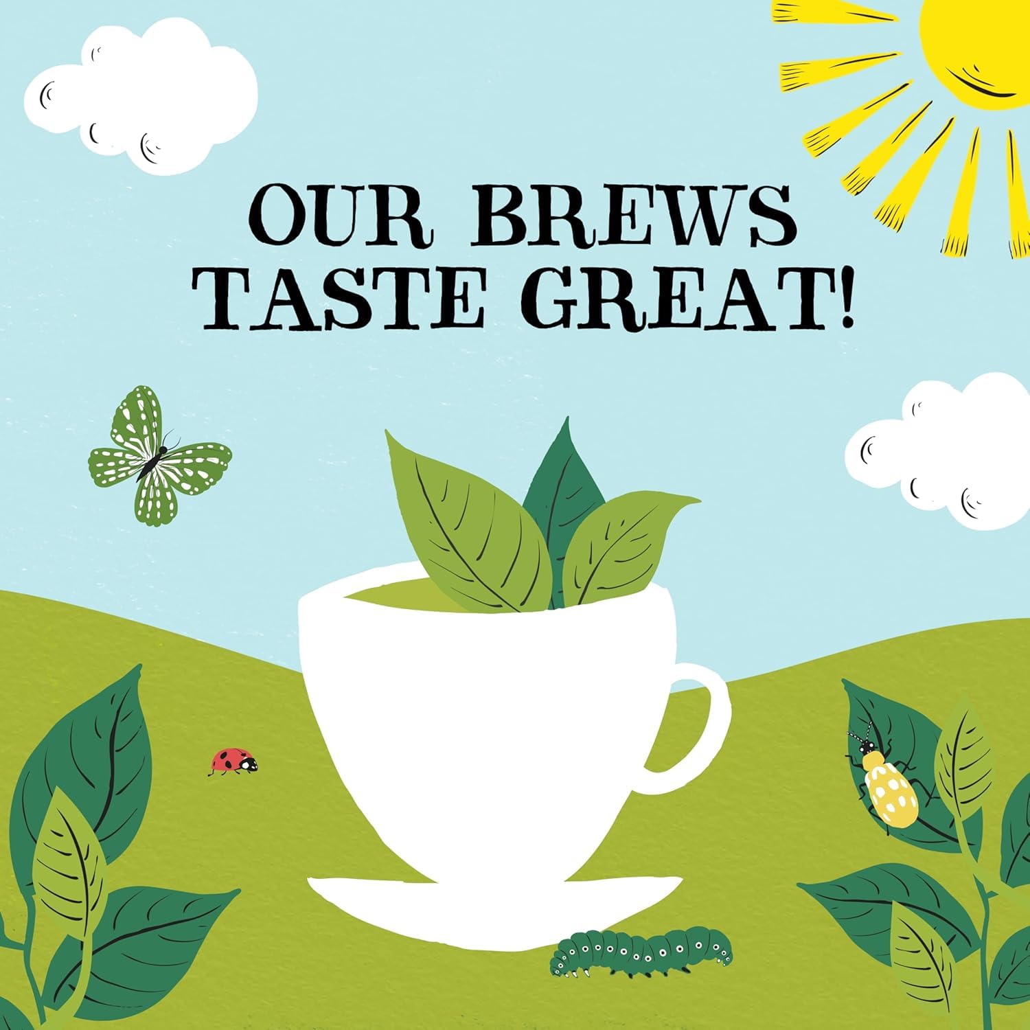 Clipper Organic Everyday Black Tea - 160 Teabags | Plastic Free | Fairtrade 5