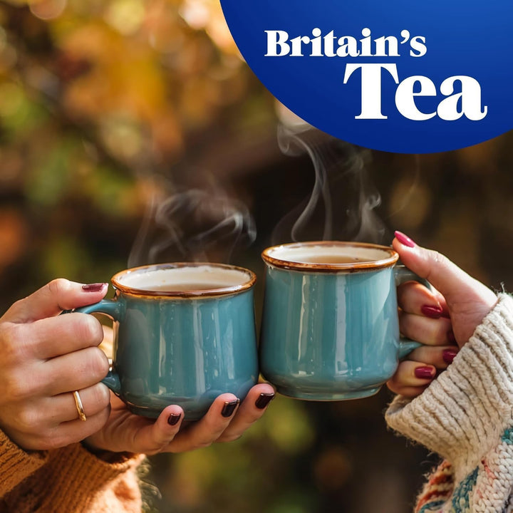 Tetley Redbush Tea with Vanilla - Naturally Caffeine-Free Rooibos Tea Bags - Rainforest Alliance Certified - 240 Teabags (6 x 40)
