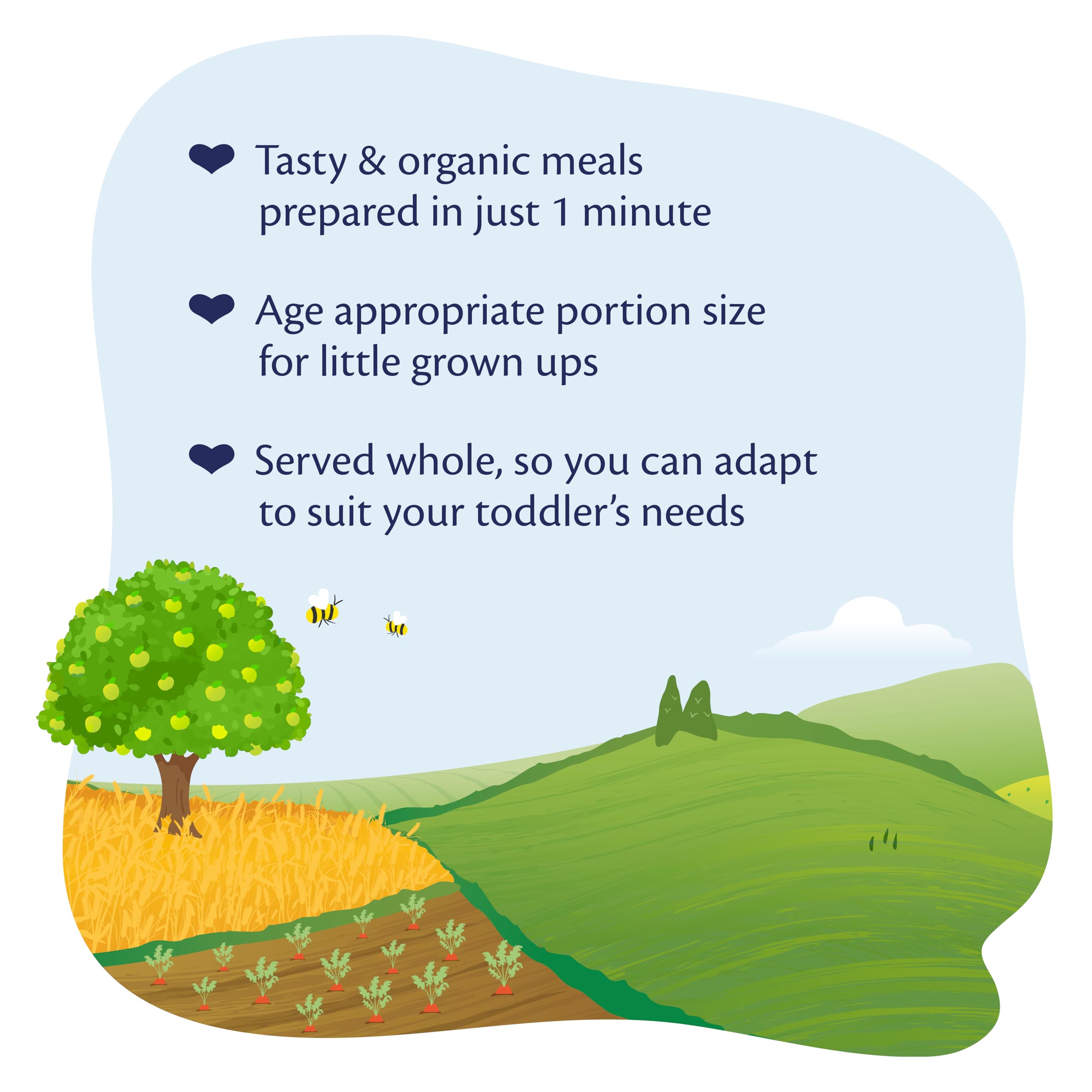 HiPP Organic Lasagne Bolognese Toddler Meal 15+ Months 250g (Pack of 6) 2