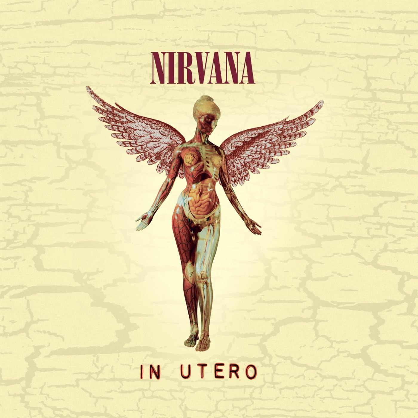 Nirvana - In Utero [Audio CD] 1