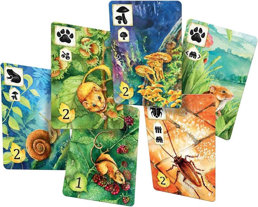 Rebel Centrum Meadow Board Game