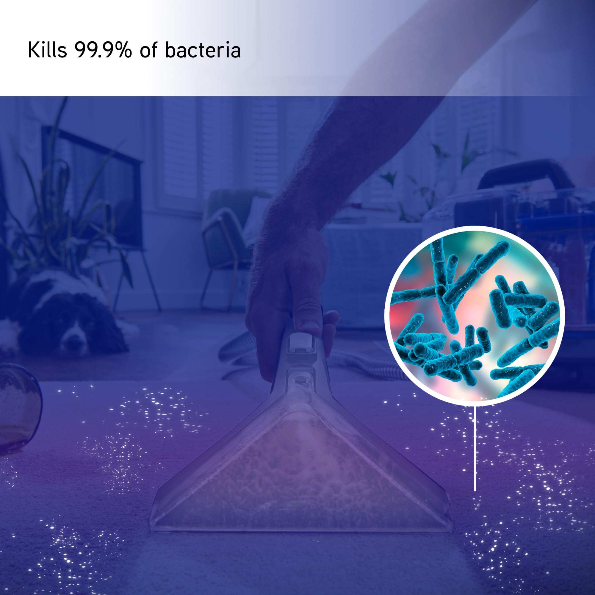 Vax SpotWash Antibacterial Carpet Cleaner Solution - 1L | Kills 99.9% Bacteria | Citrus Burst Scent 2