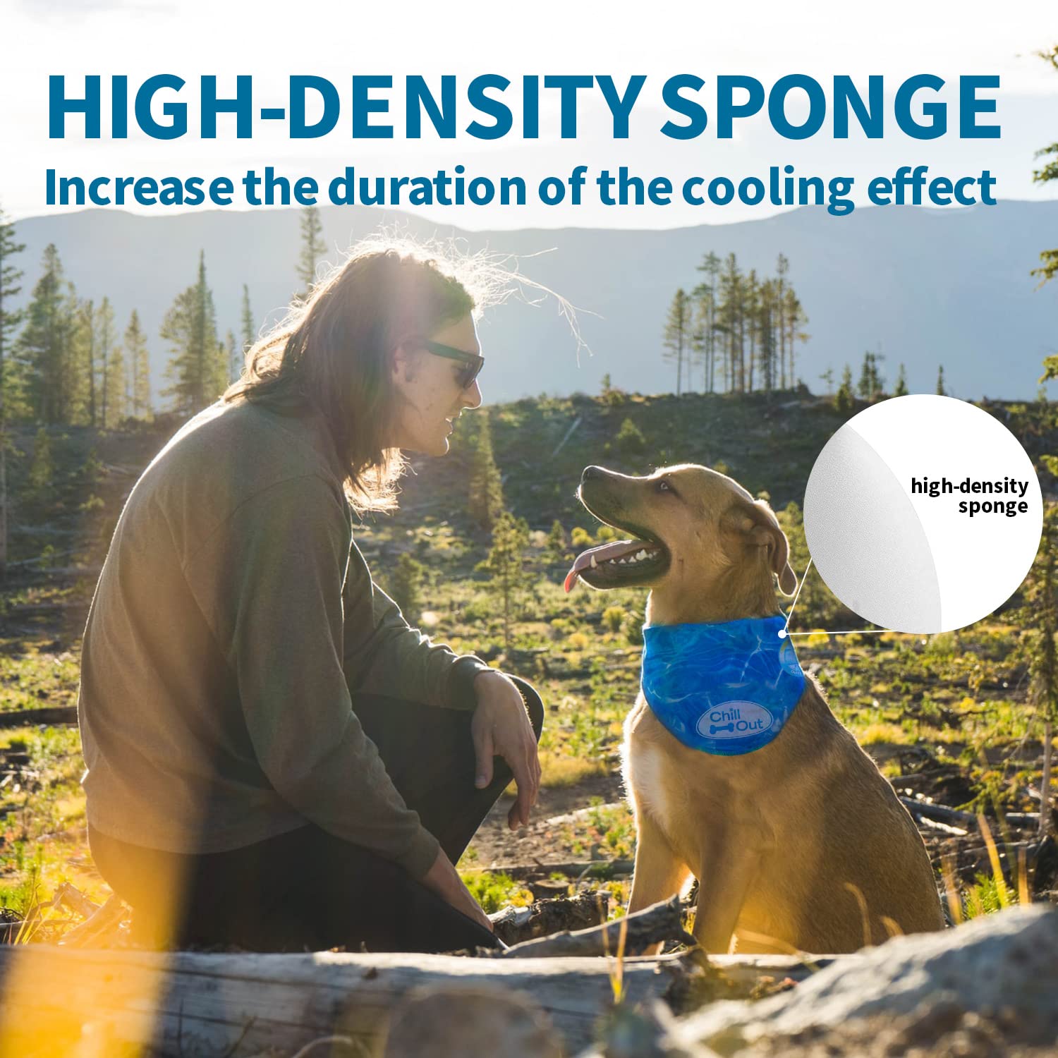 ALL FOR PAWS Chill Out Ice Dog Bandana - Cooling Technology | Extra-Large | Blue 4
