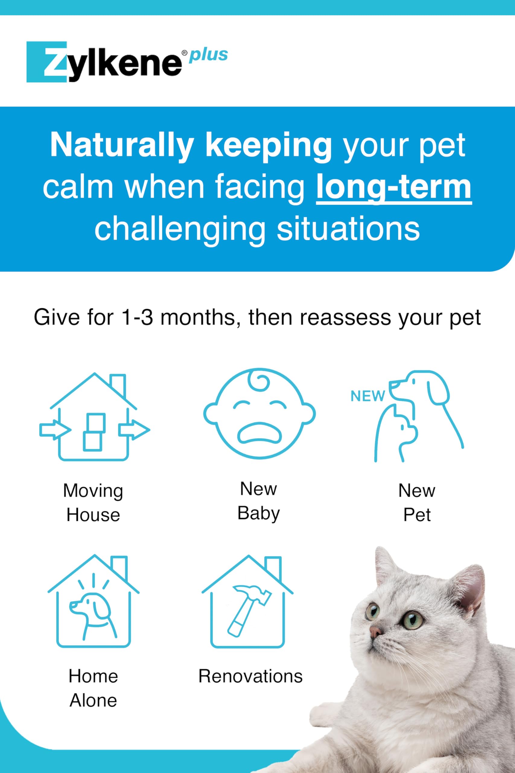 Zylkene Calming Supplement for Cats & Small Dogs up to 10kg | 30 Capsules | All Life Stages 5
