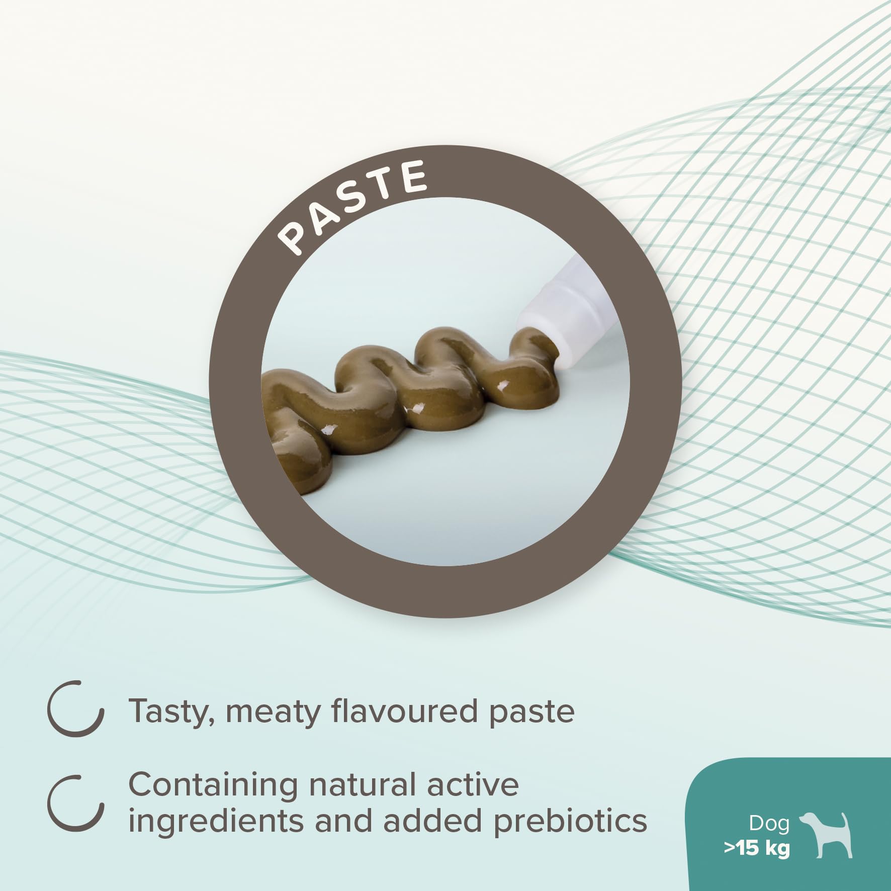 Beaphar IntestoPro Prebiotic Stool Firming Paste for Medium and Large Dogs - 2 x 20ml Tubes 4