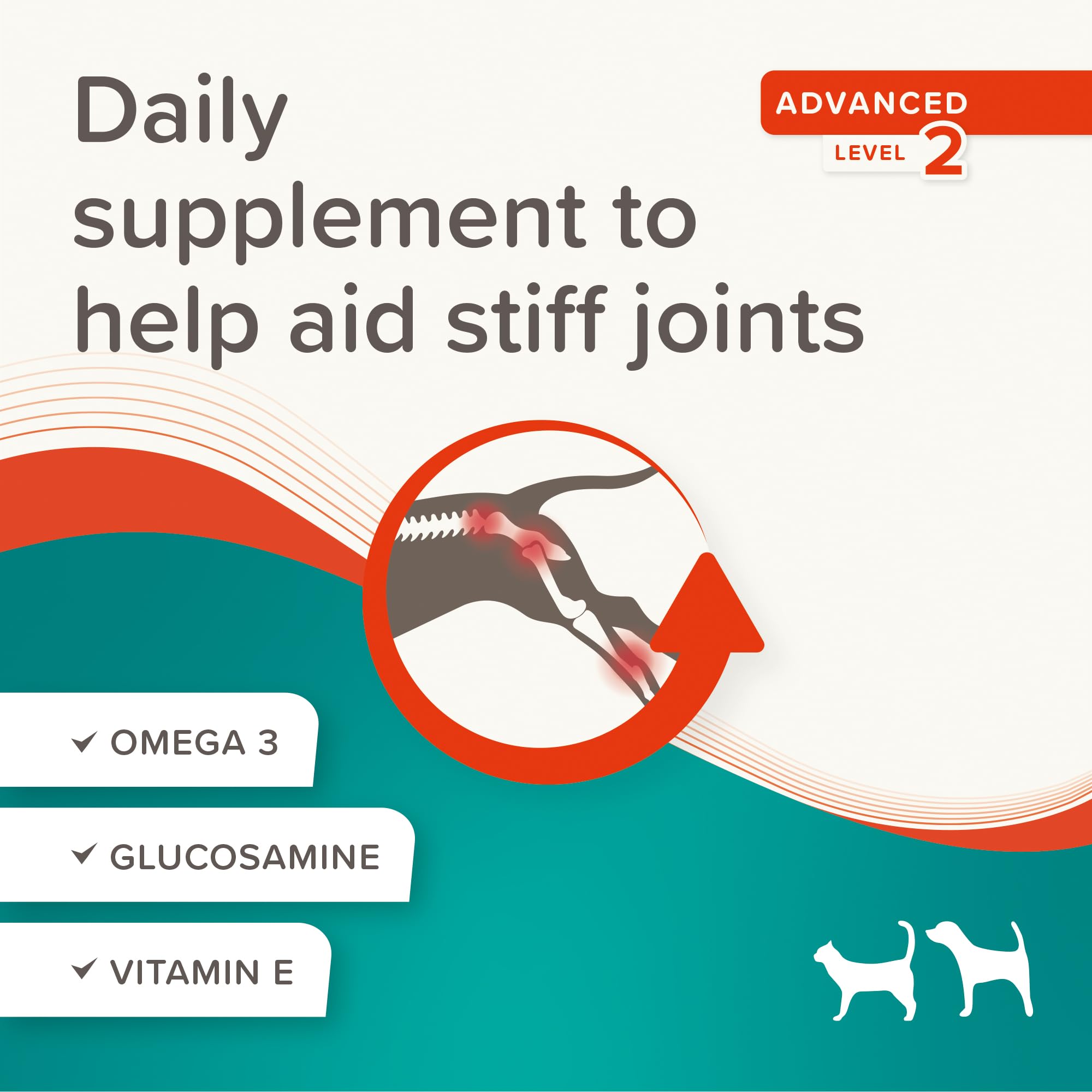 Beaphar Flexifit Joint Supplement Paste for Dogs & Cats - 250g | Aids Mobility & Soothes Stiff Joints 4