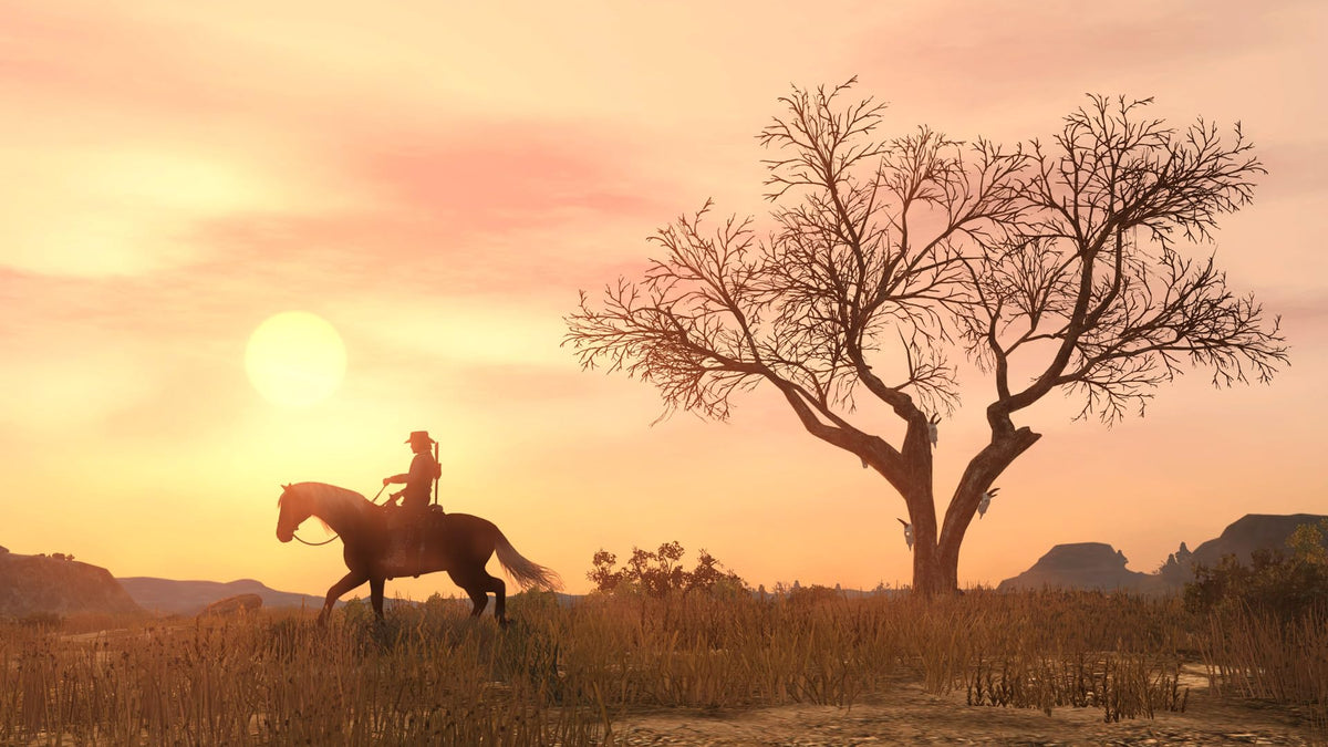 Red Dead Redemption [PlayStation 4] 3