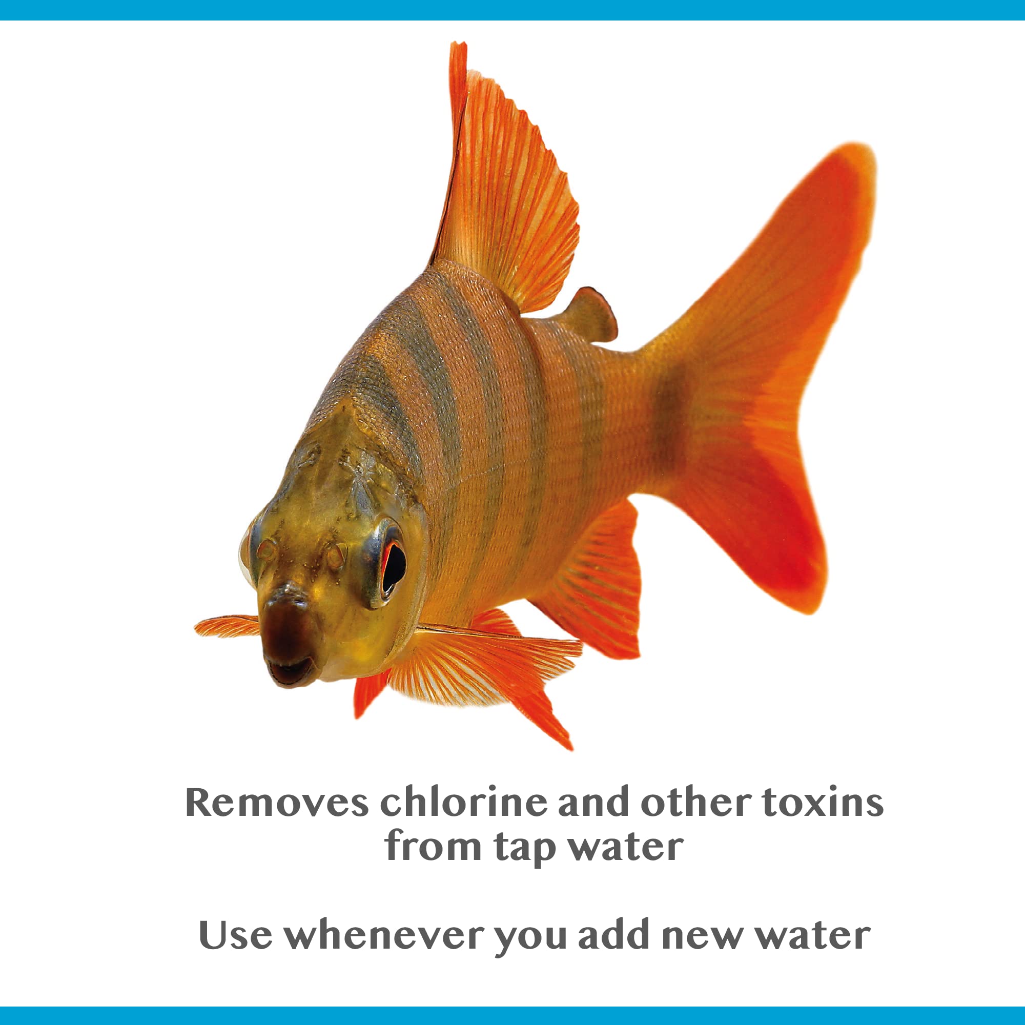 Interpet Bioactive Tapsafe Aquarium Water Dechlorinator | 500 ml Liquid Treatment 5