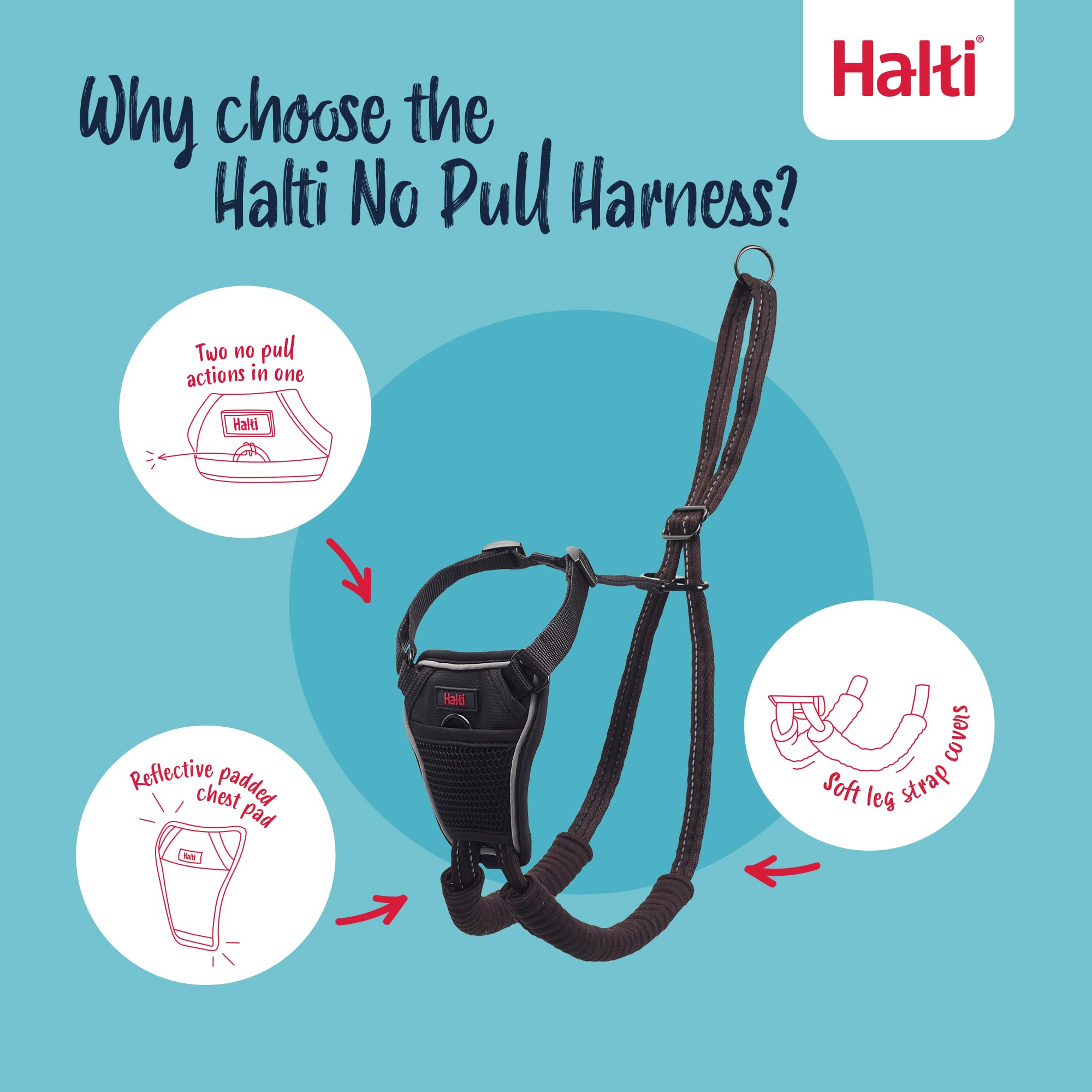 Halti No Pull Harness & Training Leash Set - Stops Pulling, Front Control Steering | Size Large, Black 3