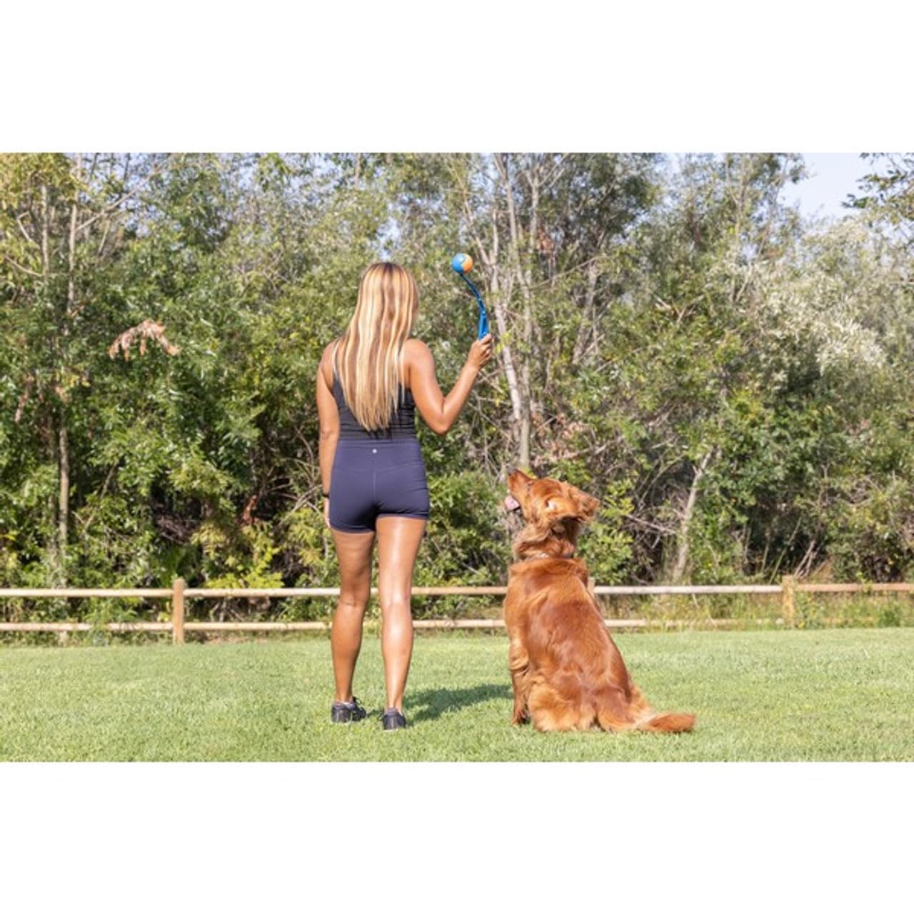 Chuckit! Sport Ball Launcher - Hands-Free Pickup & Throw | Medium Size | 30cm Long 2